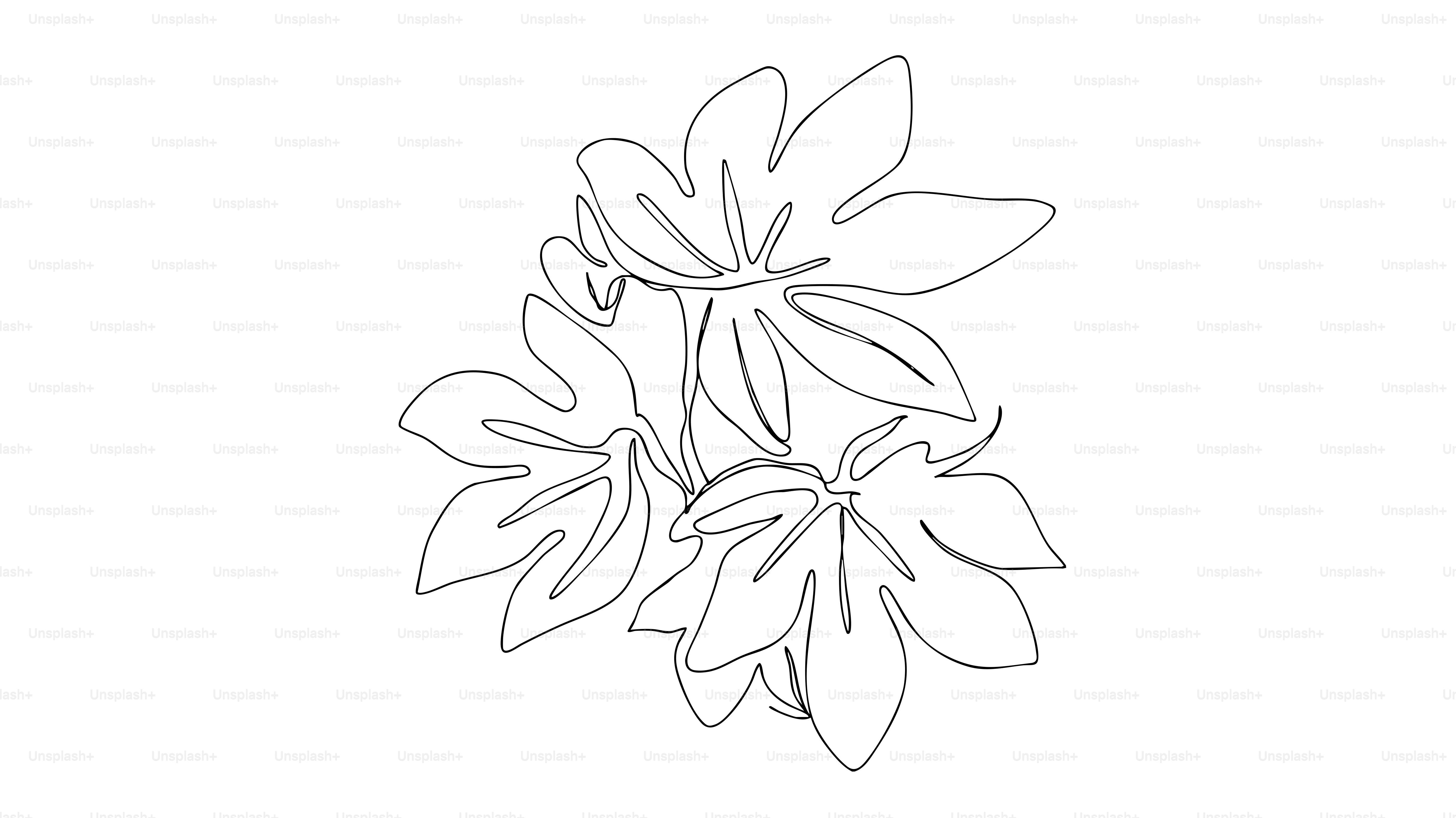 A drawing of a plant on a white background