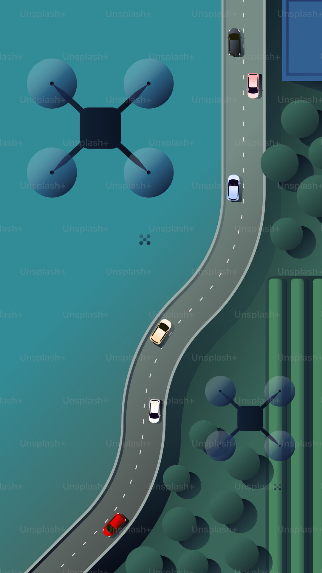 A car driving down a road next to a forest