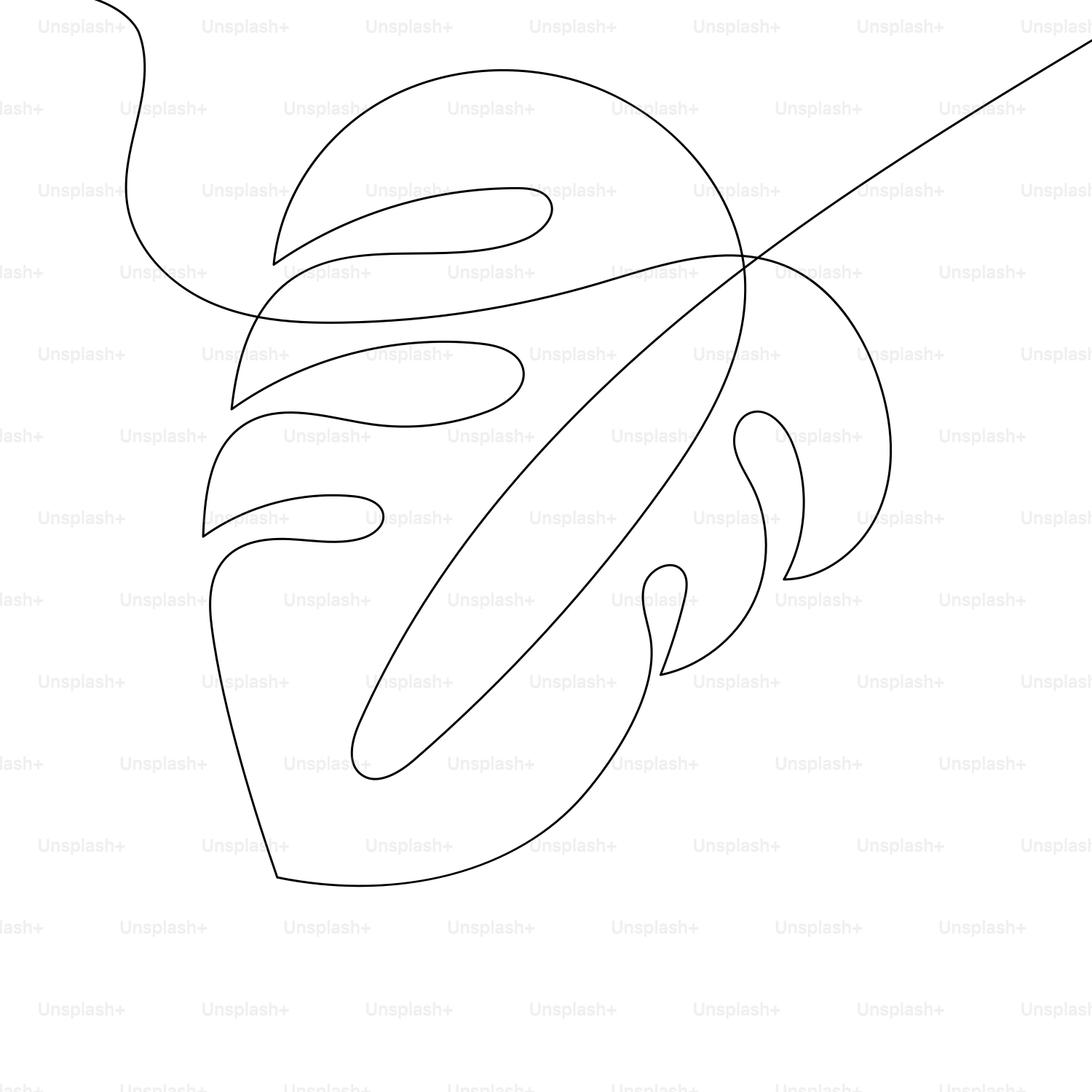 A drawing of a leaf on a white background