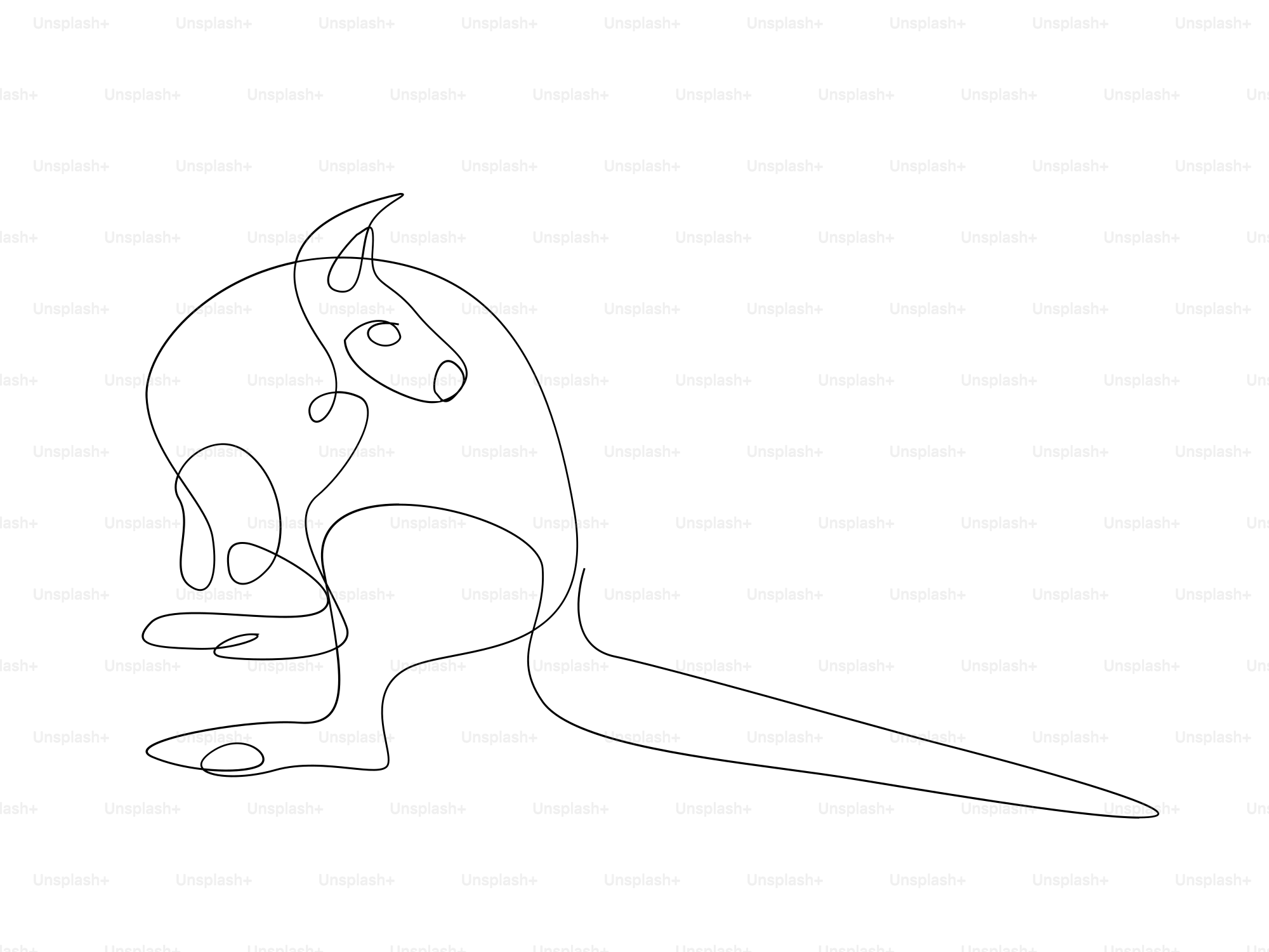 A drawing of a kangaroo sitting down