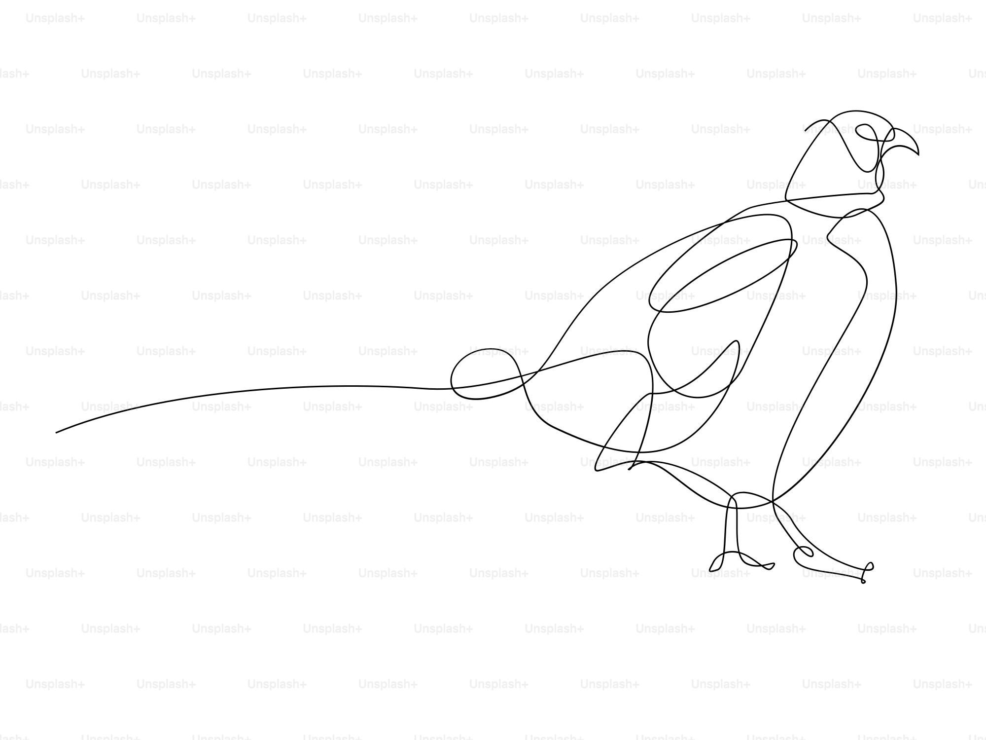 A drawing of a bird on a white background