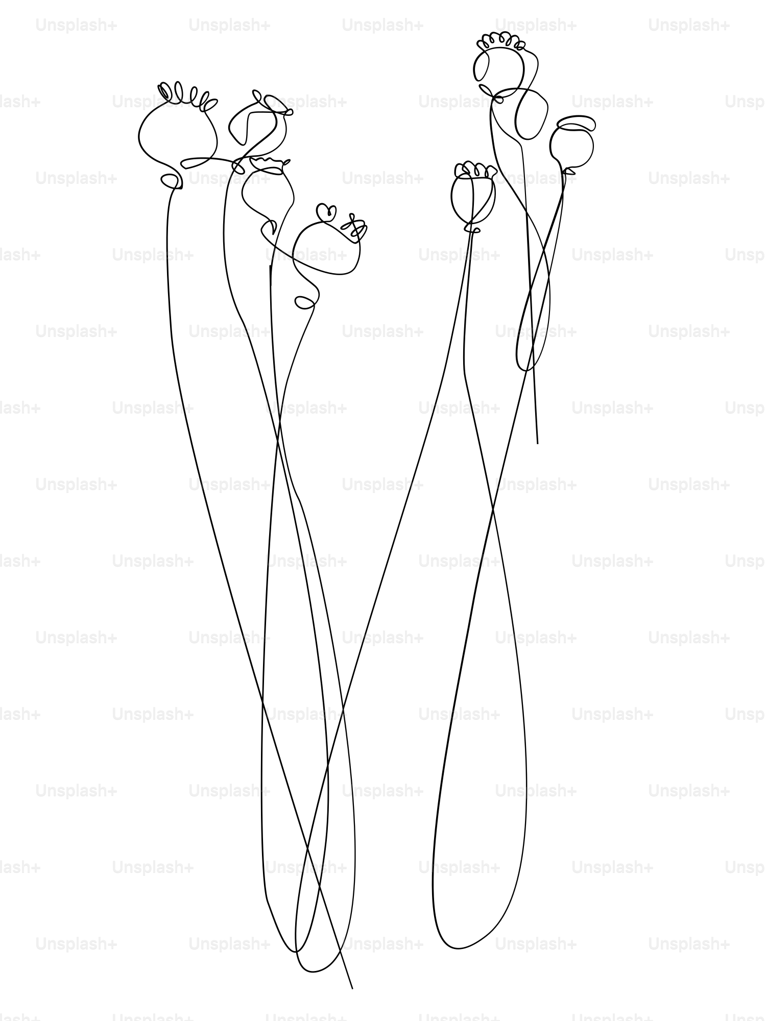 A line drawing of three flowers on a white background