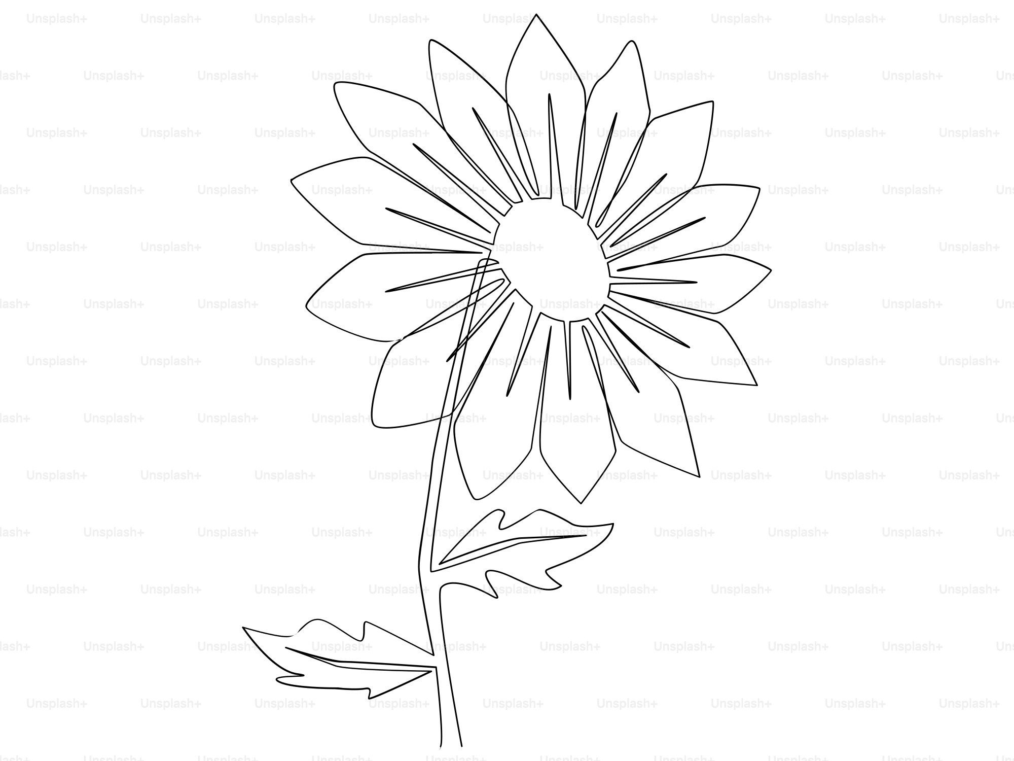 A drawing of a sunflower on a white background