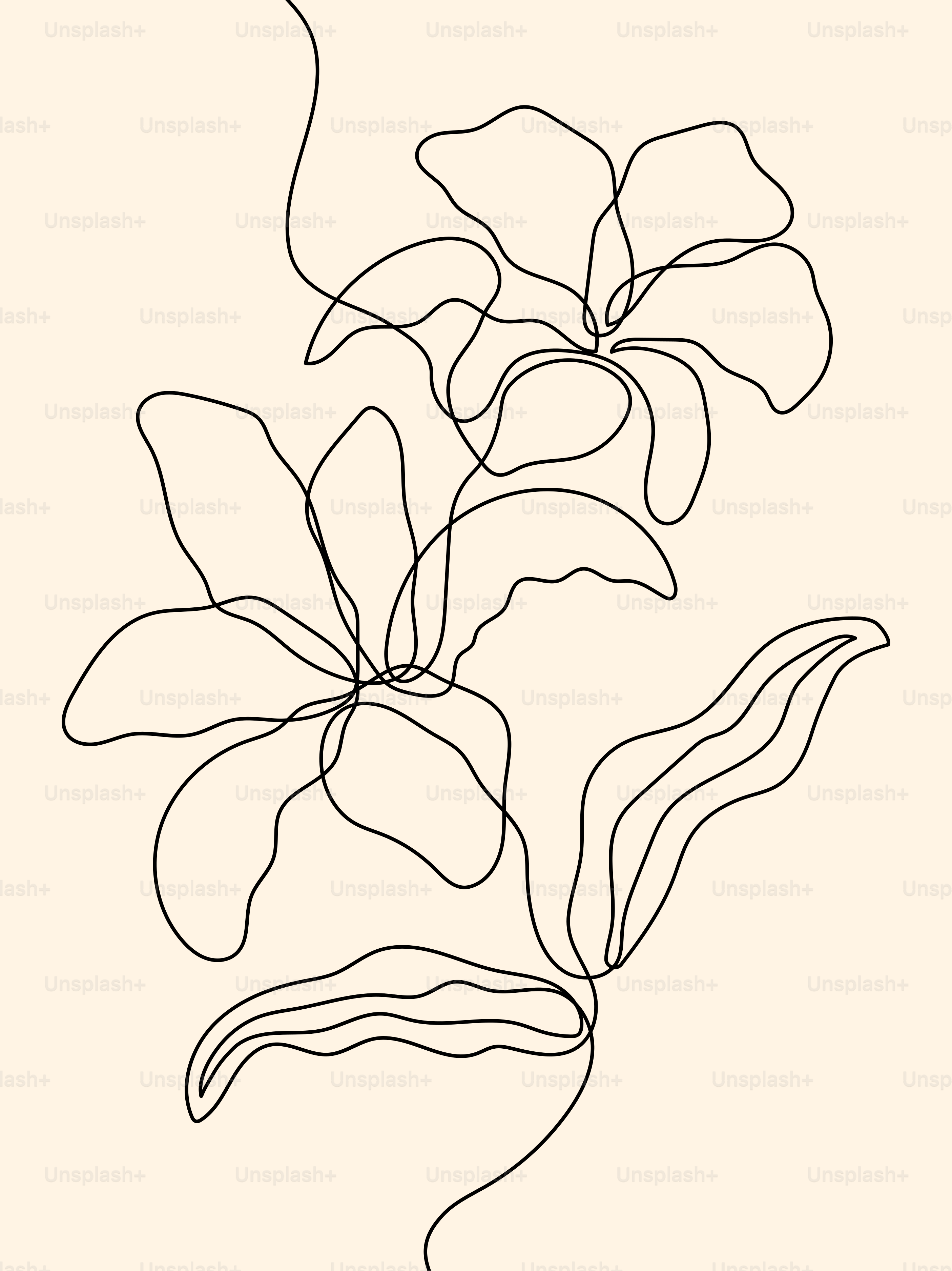 A line drawing of a flower on a white background