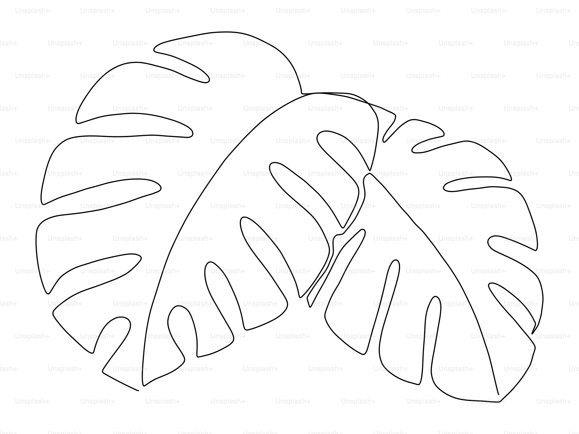 A drawing of a monster's leaf