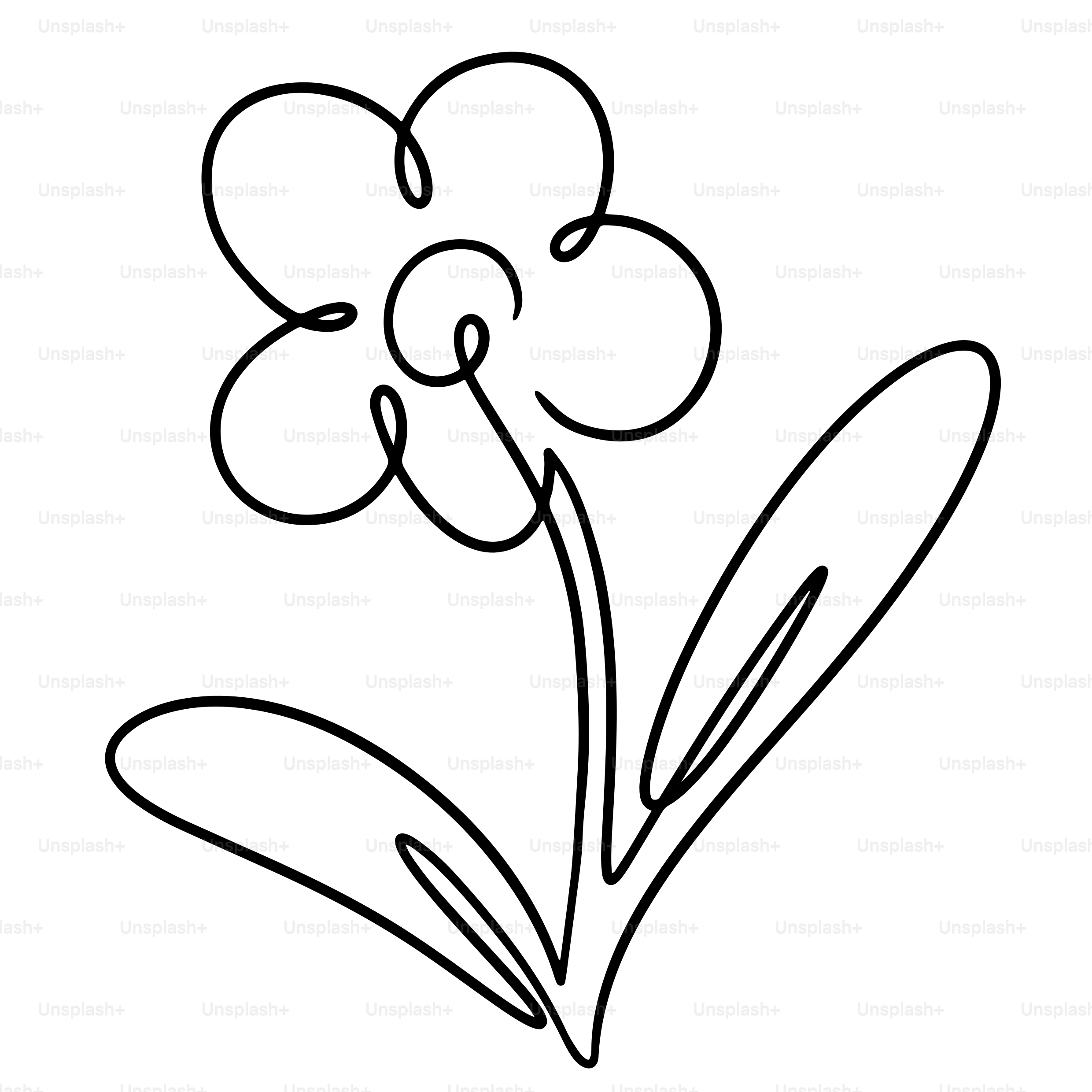 A drawing of a flower on a white background