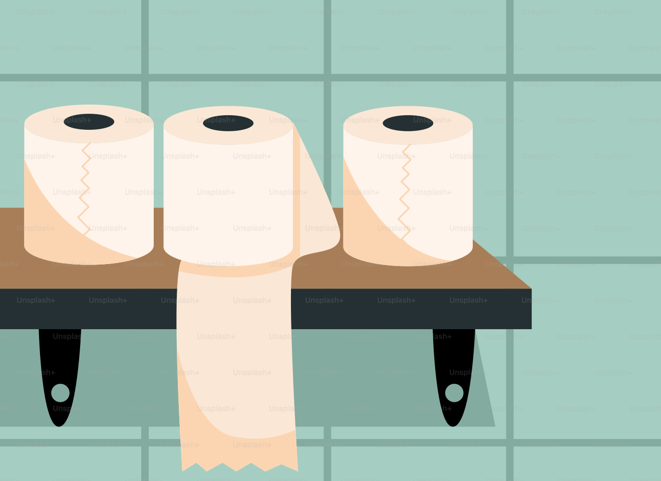 Tre rotoli di carta igienica seduti su uno scaffale vettoriale – Immagine di  Casa su Unsplash, image size:3000x2181