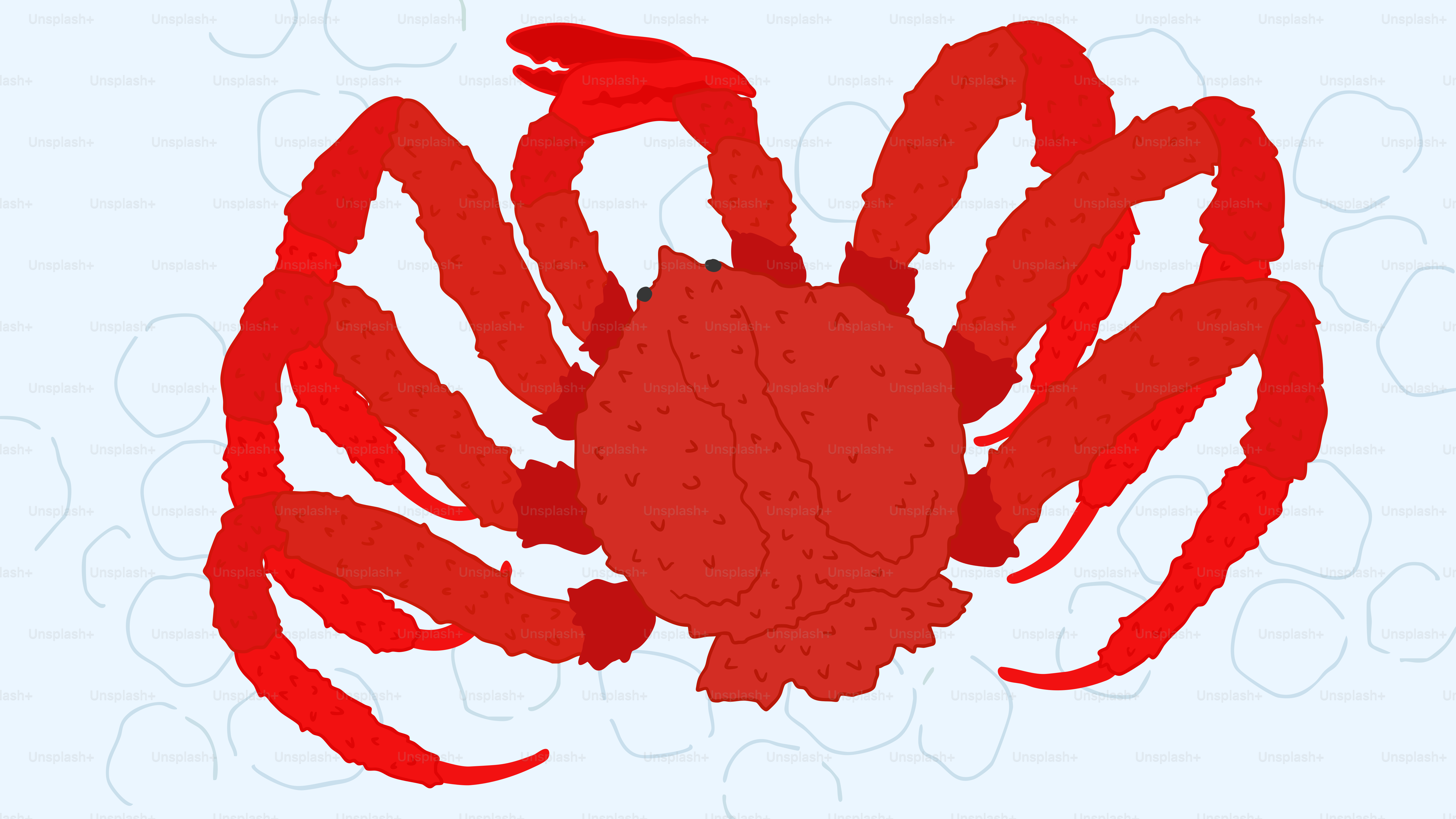 A picture of a red crab on a blue background