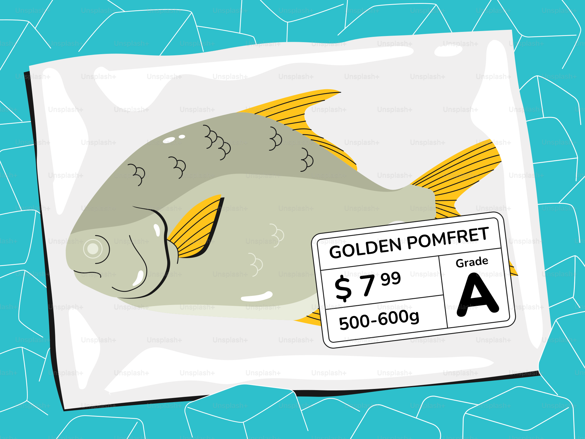 A picture of a fish on a piece of paper