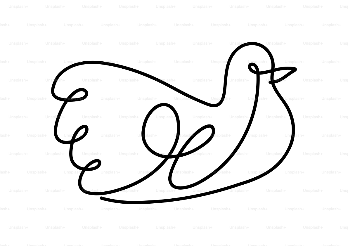 A line drawing of a bird on a white background