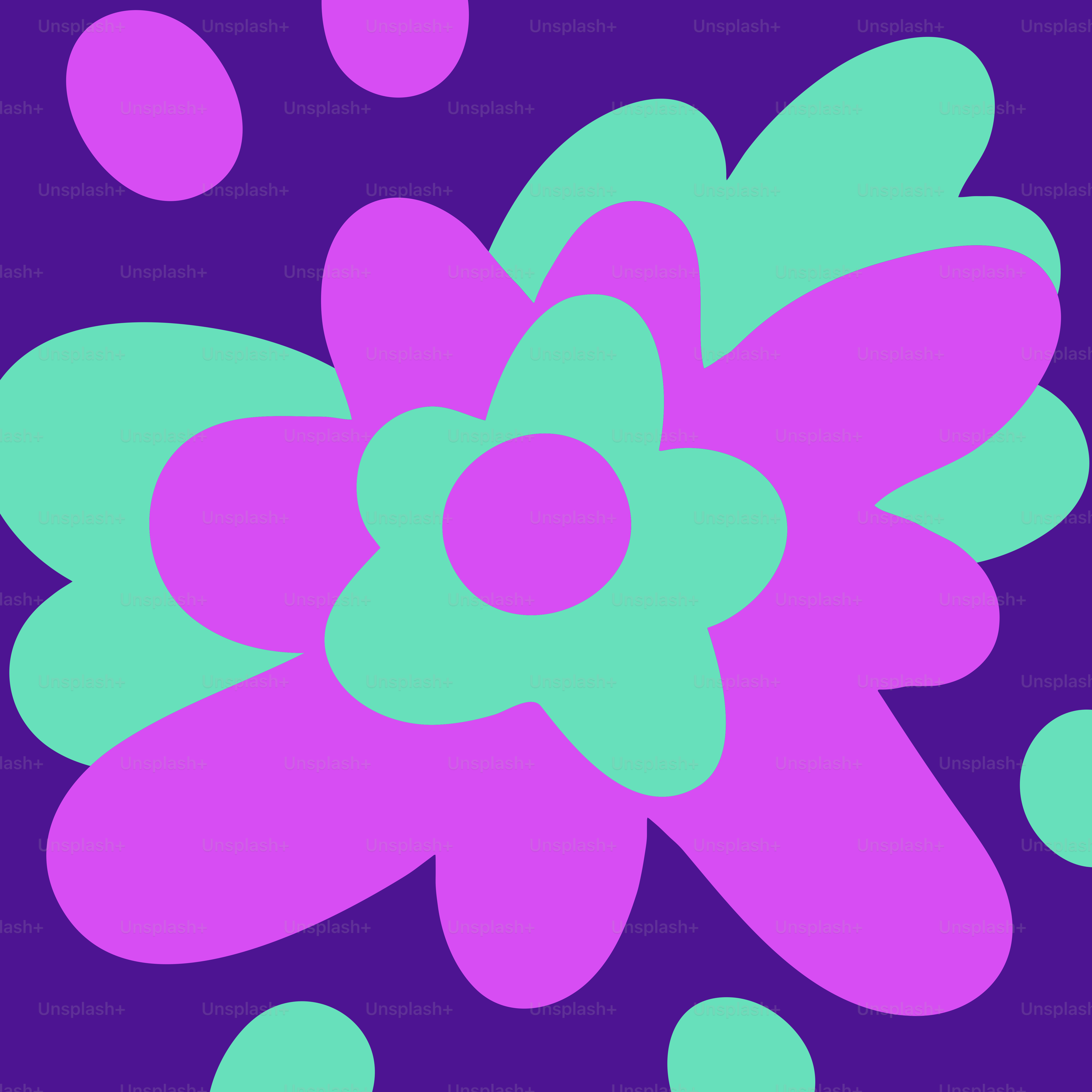 A purple and blue flower on a purple background