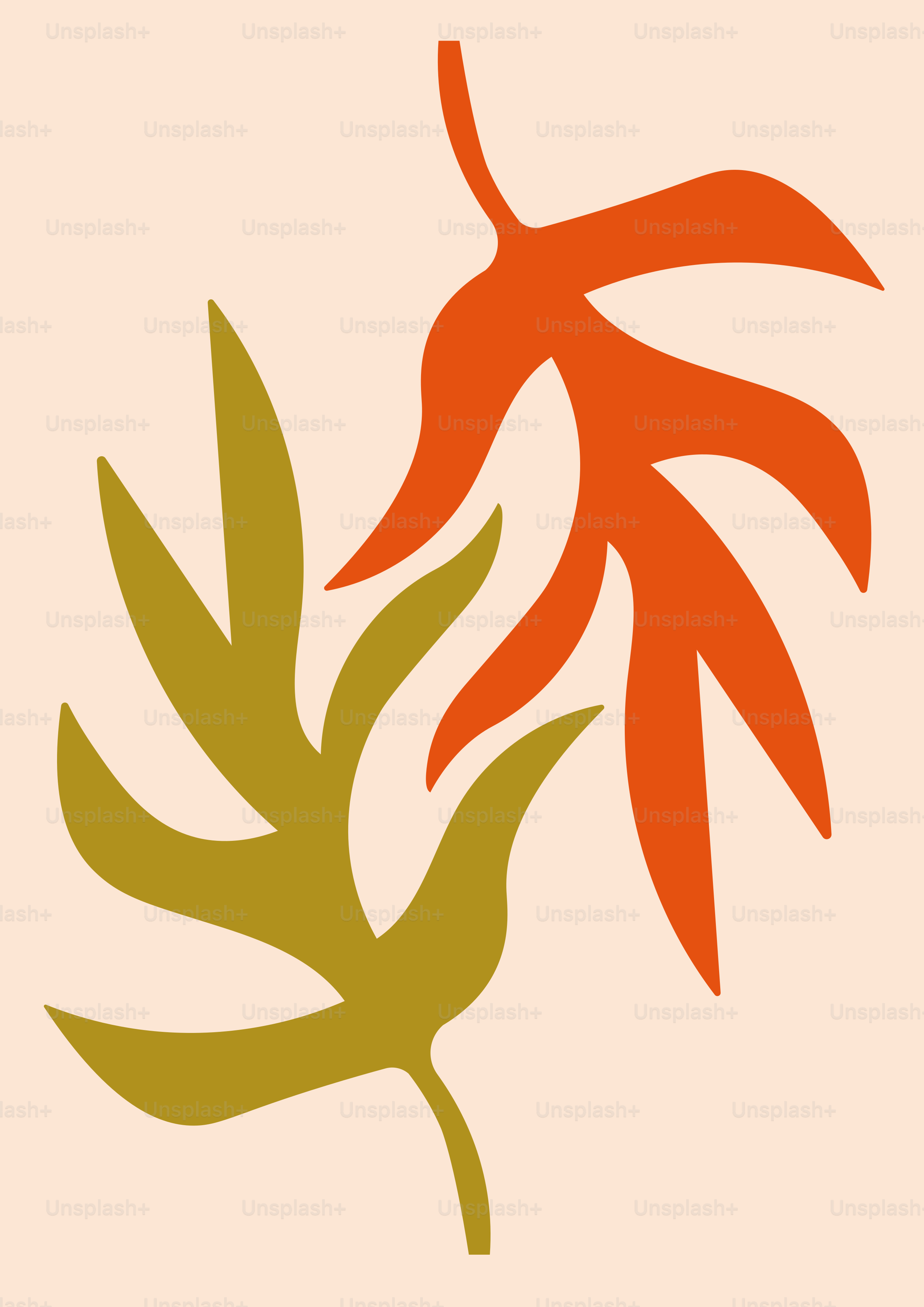 A picture of a plant with leaves on it