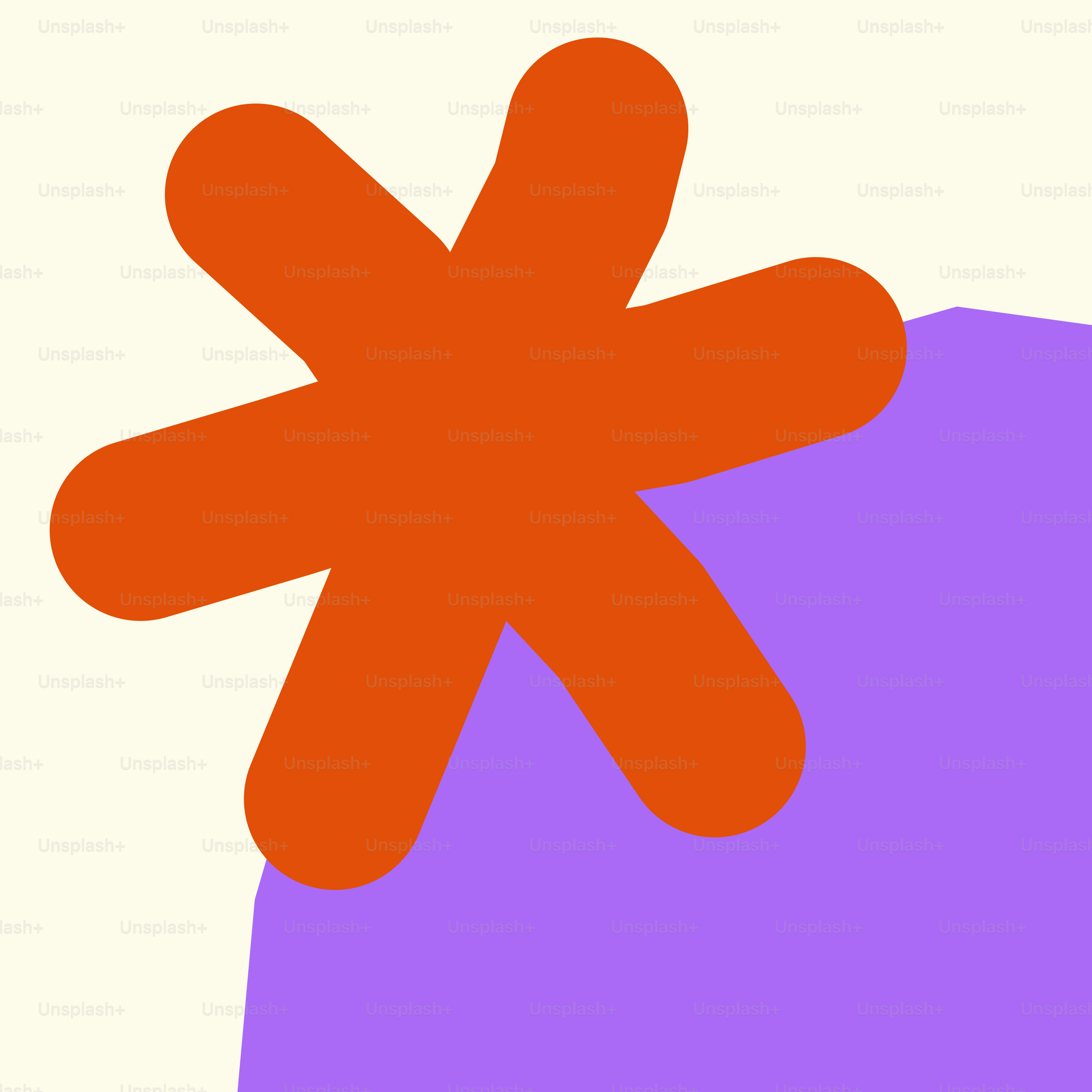 An orange flower on a white background