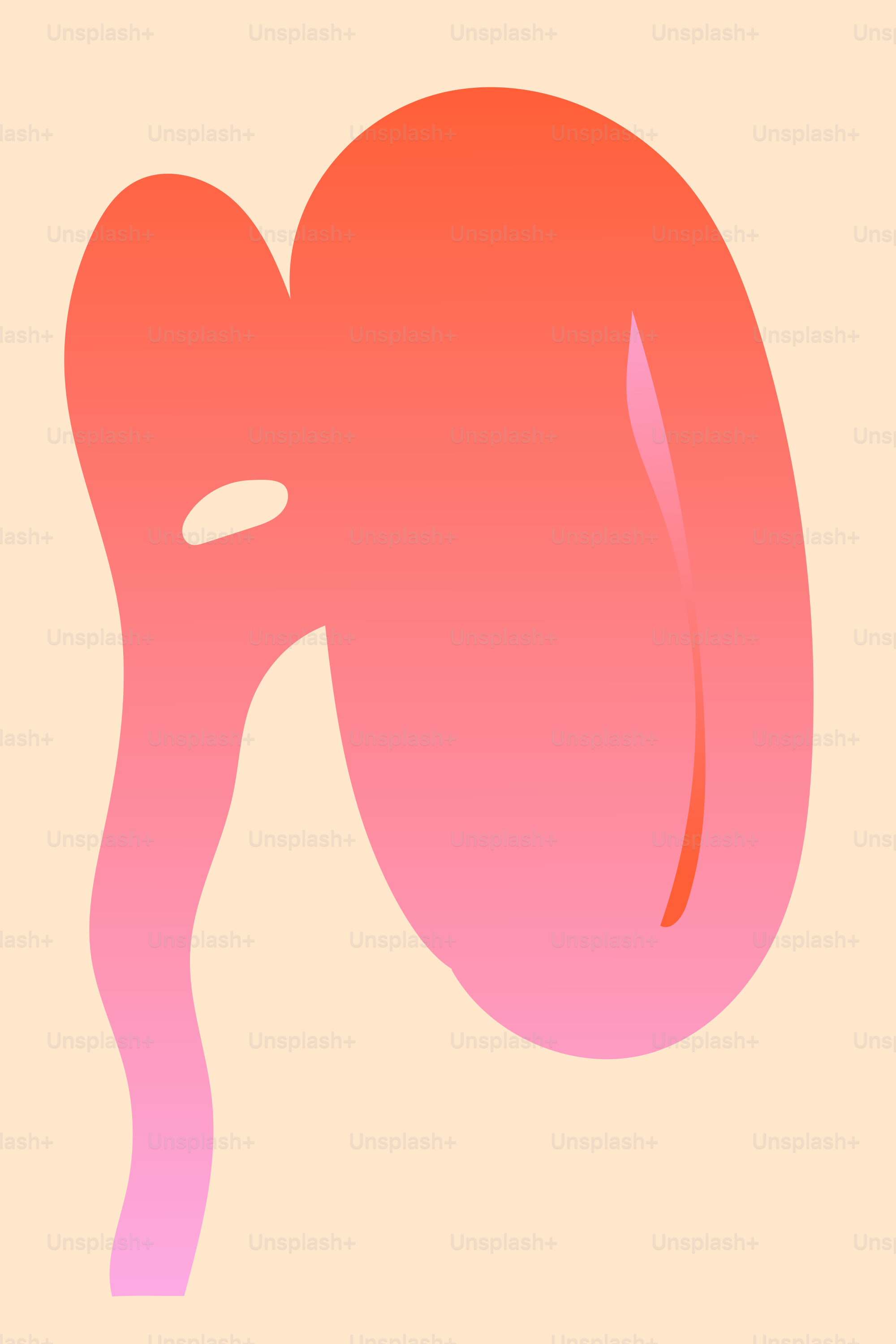 Ein Bild des Magens und des Magens