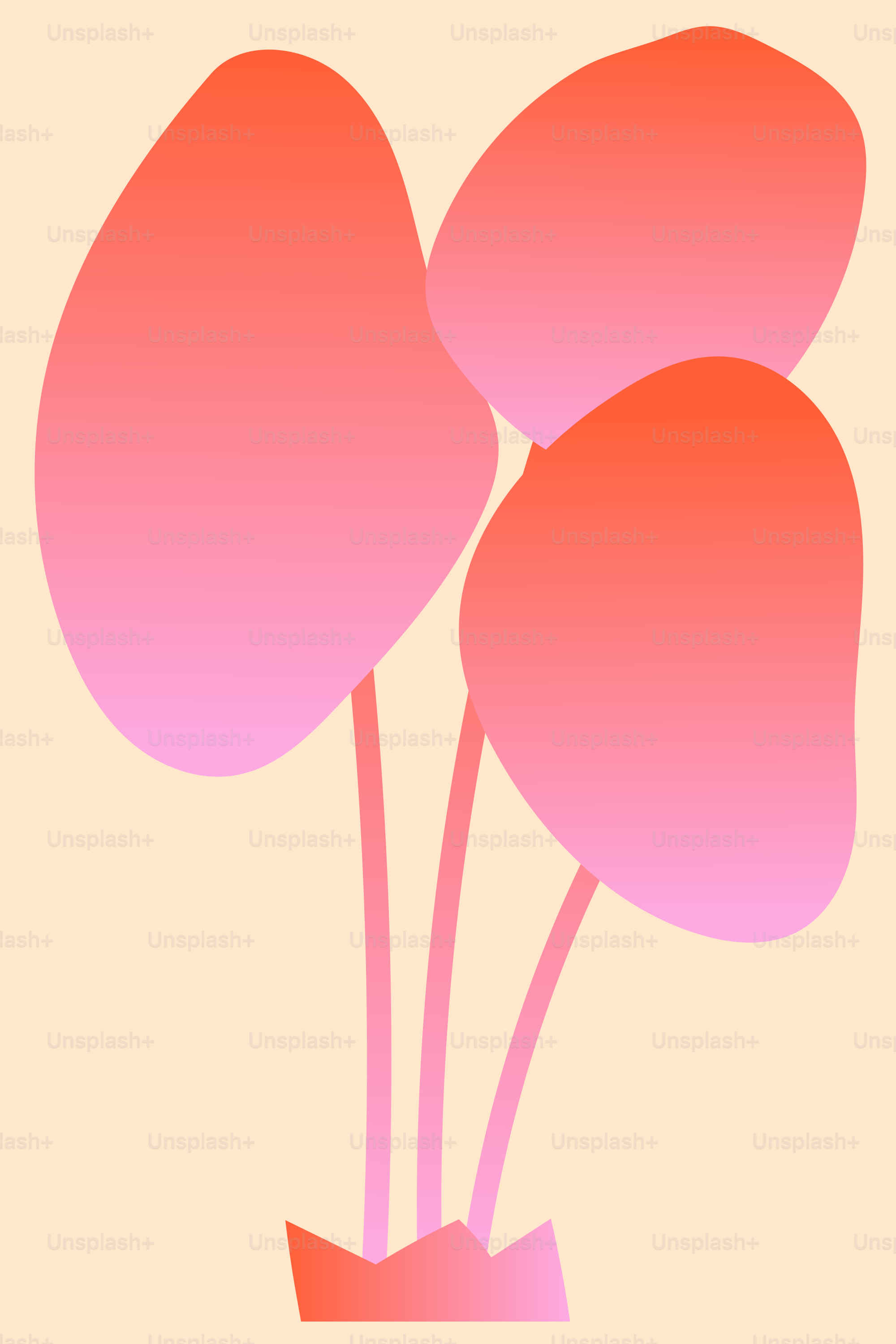 Eine Vase mit drei rosa Blumen darin