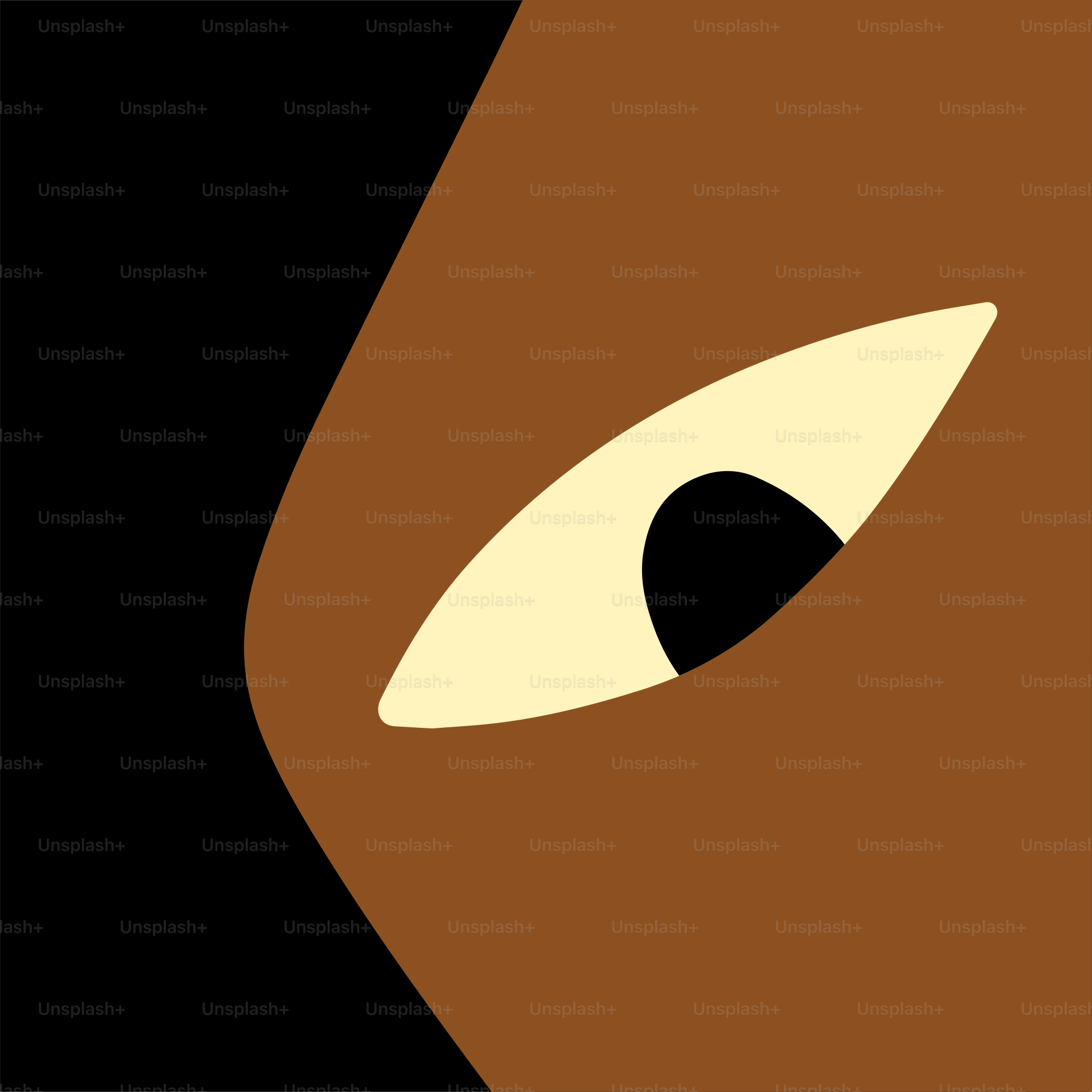 A picture of a cat's eye with a black background