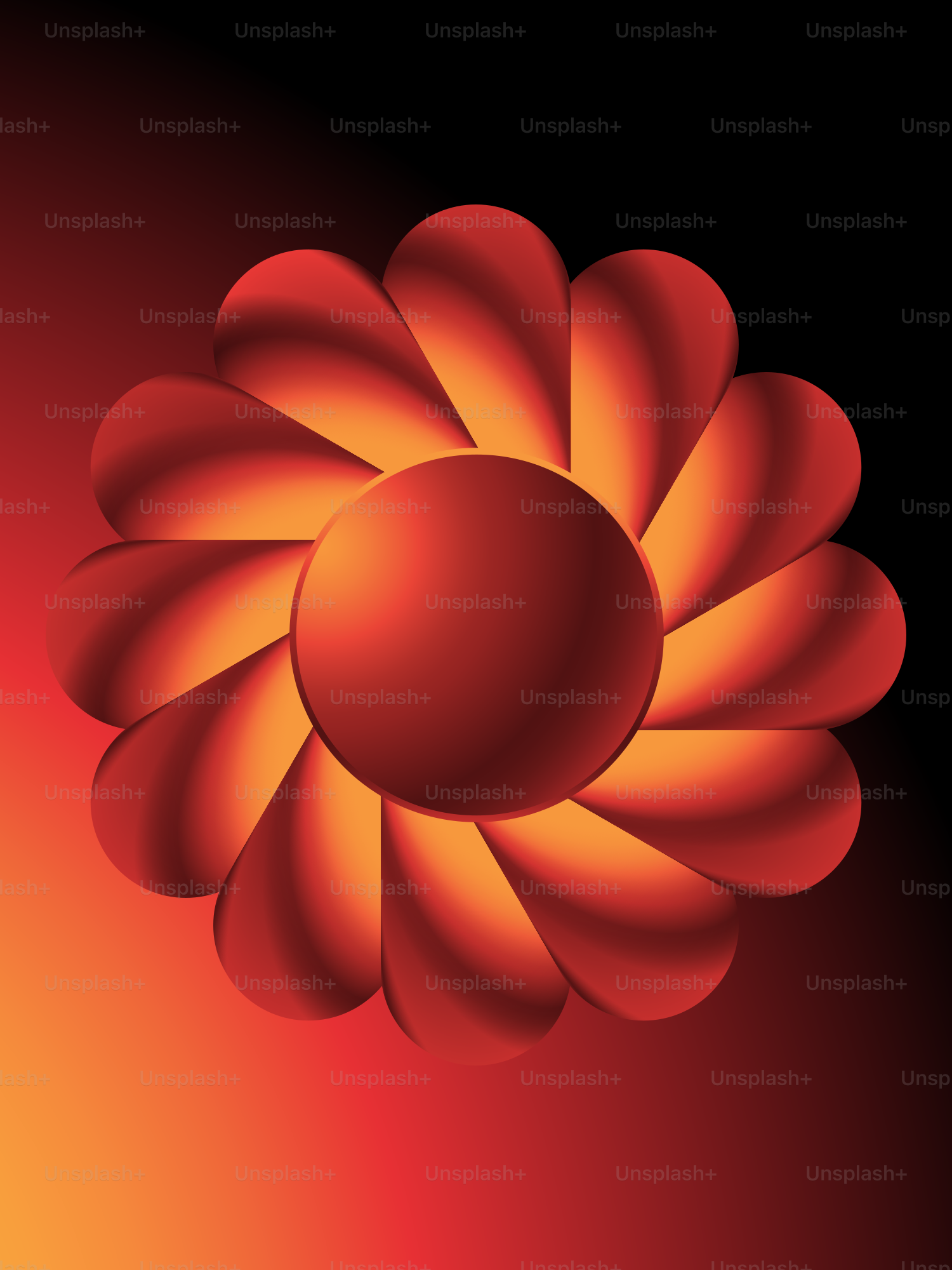 Eine rote Blume auf schwarzem Hintergrund