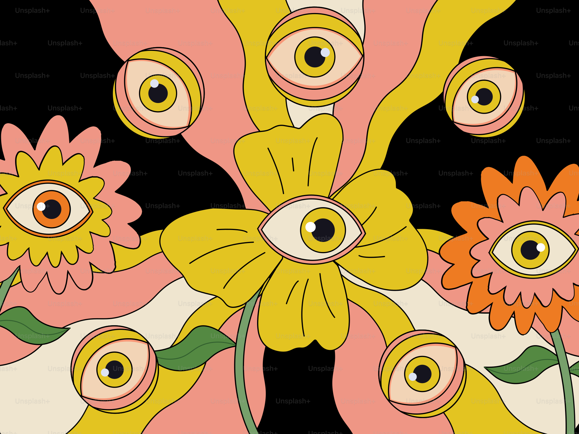 A bunch of flowers that are on a black background