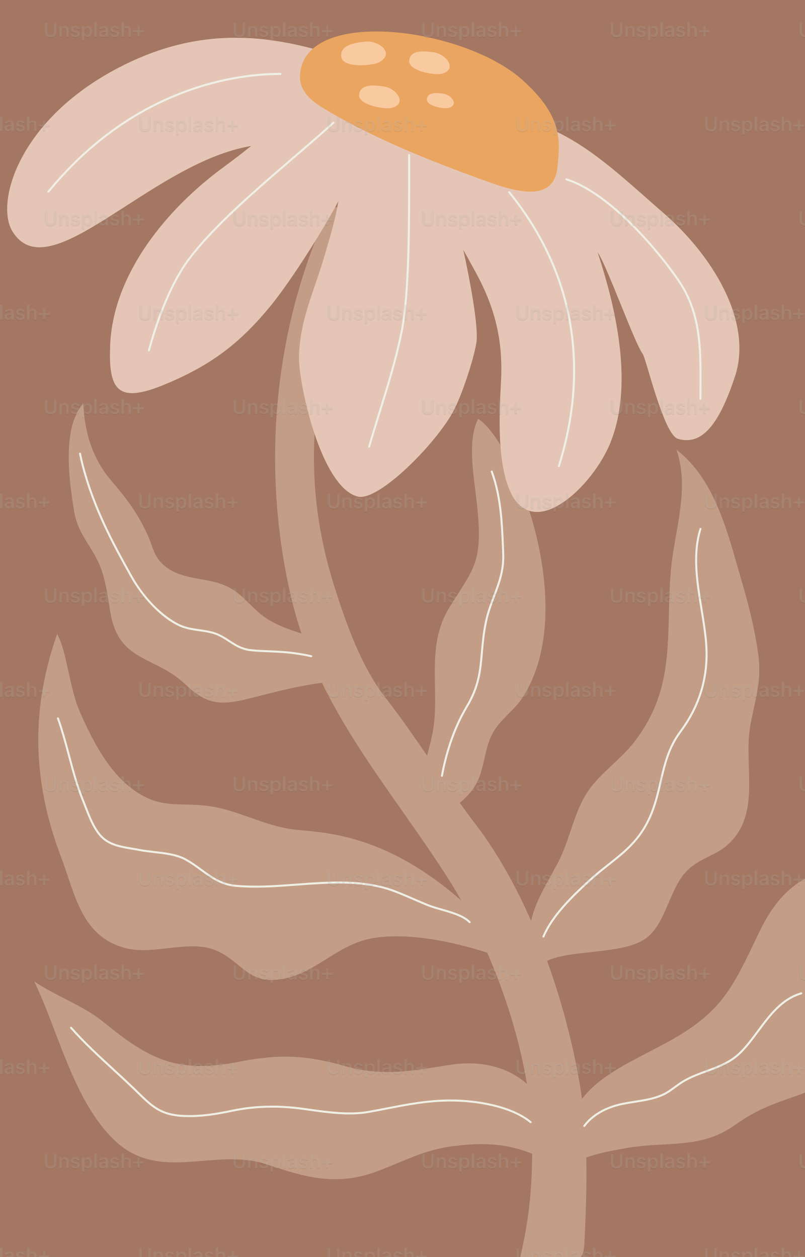 A picture of a flower on a brown background