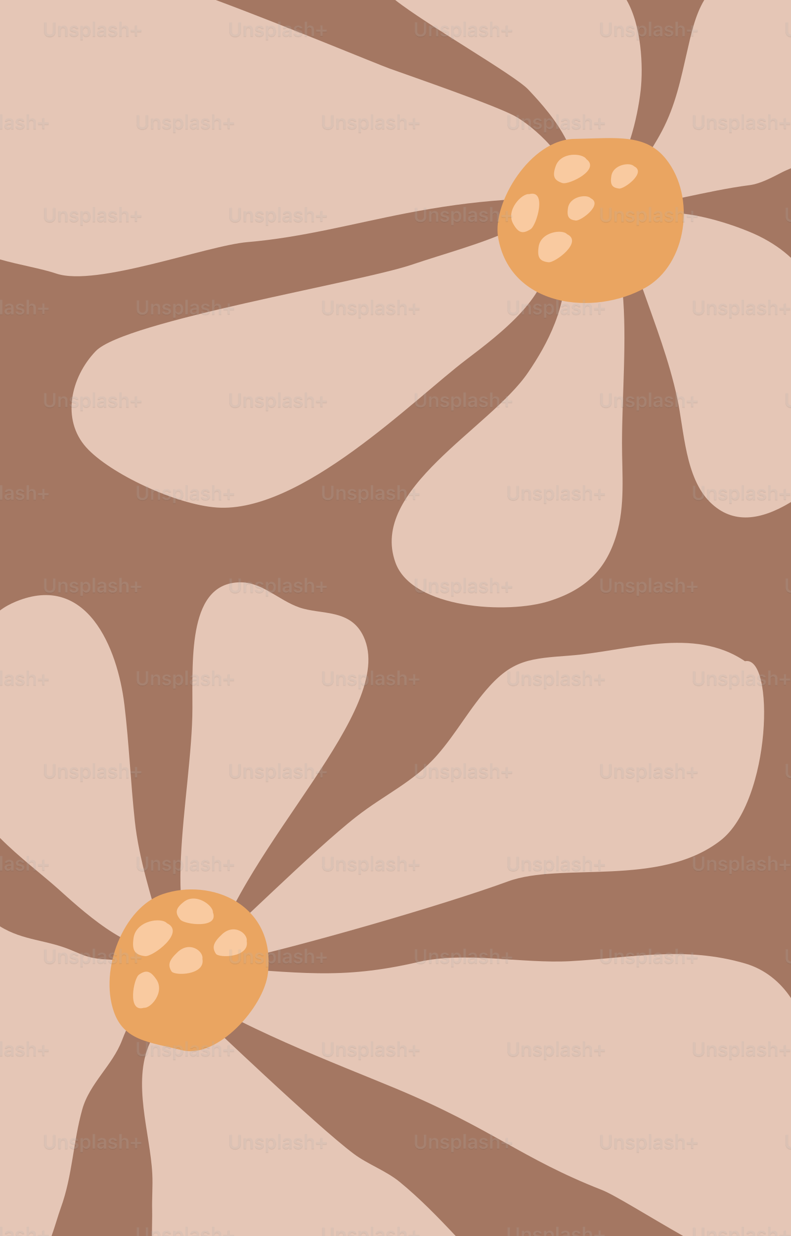 A brown and white flower on a pink background