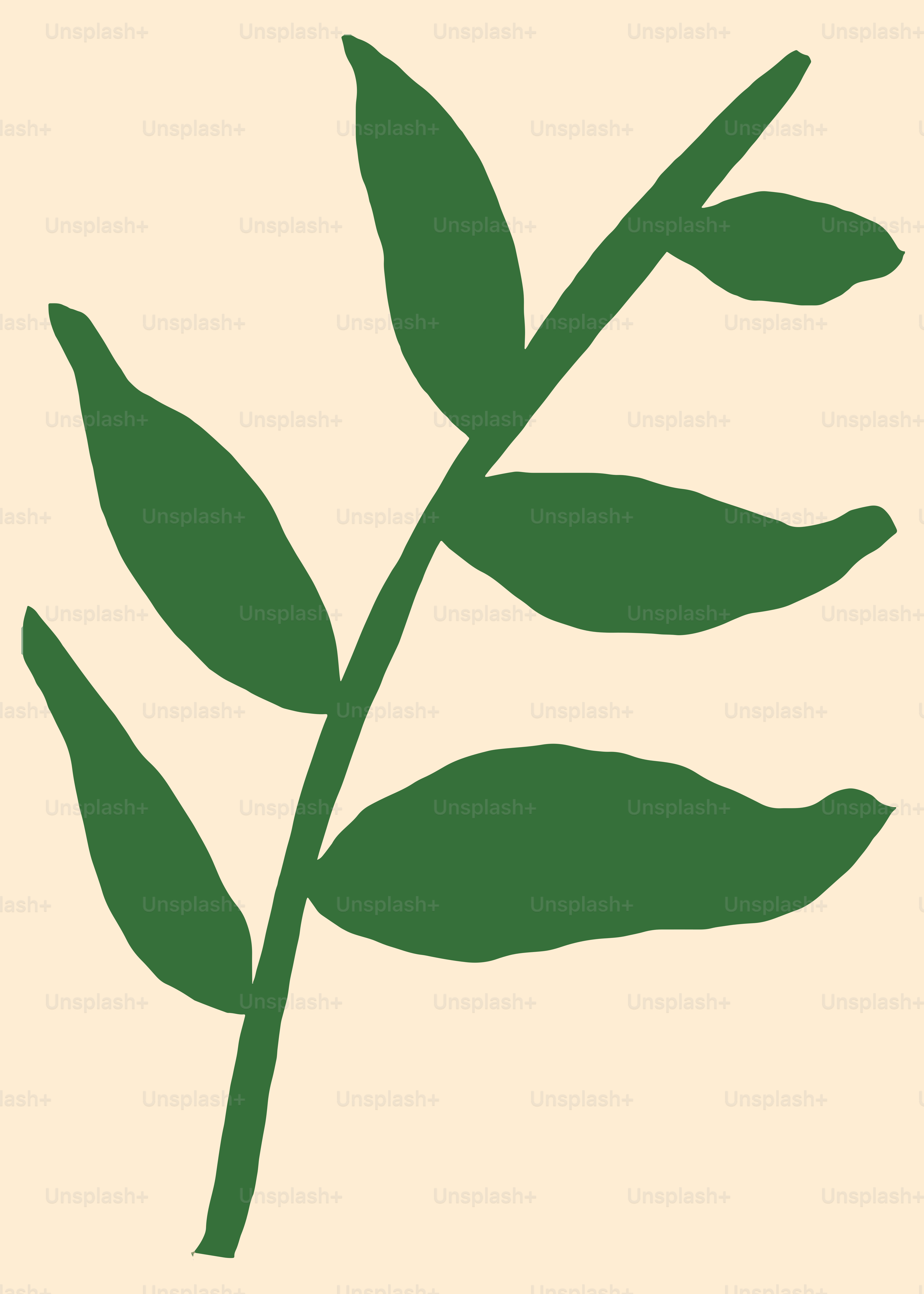 A picture of a green leaf on a white background