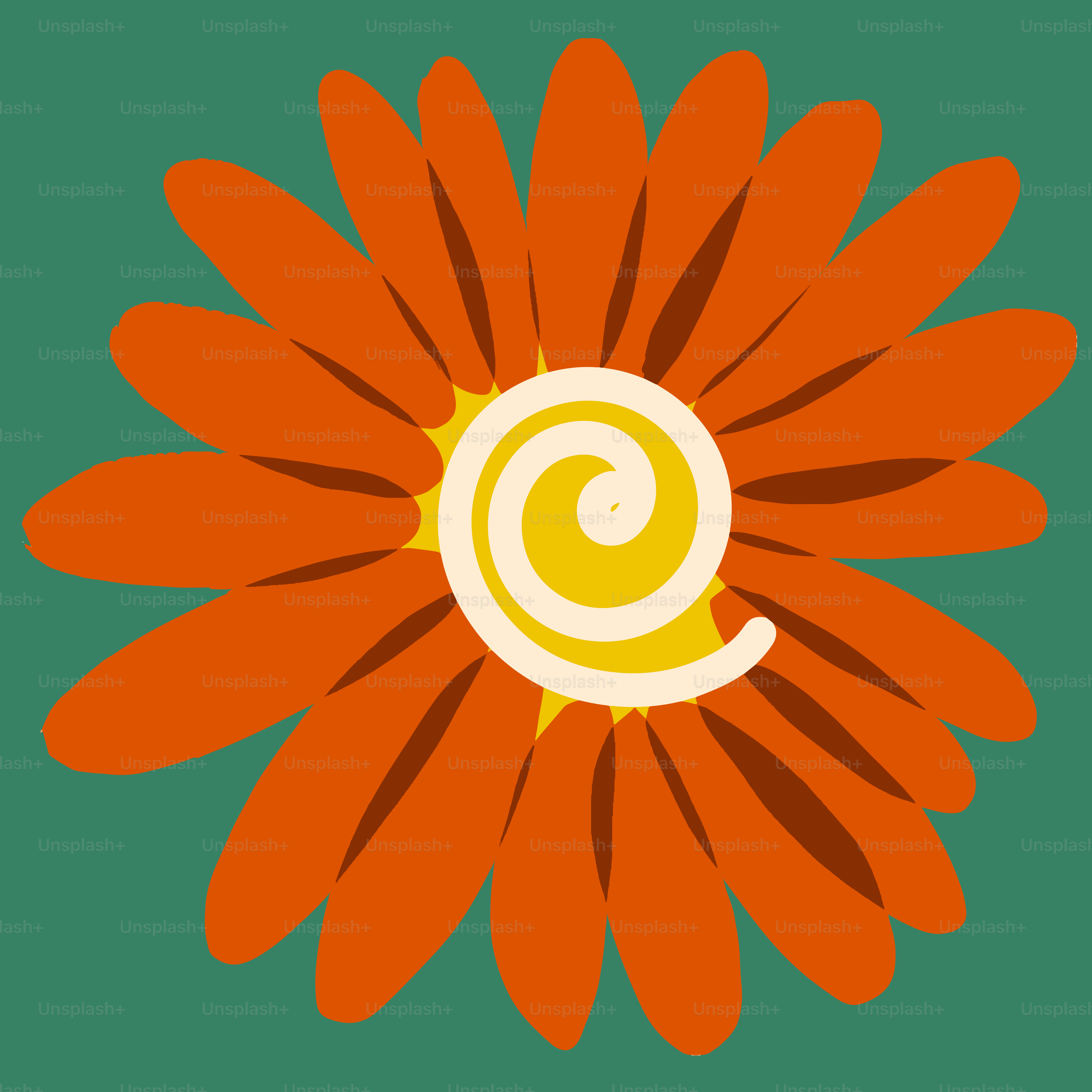 An orange flower with a spiral at the center
