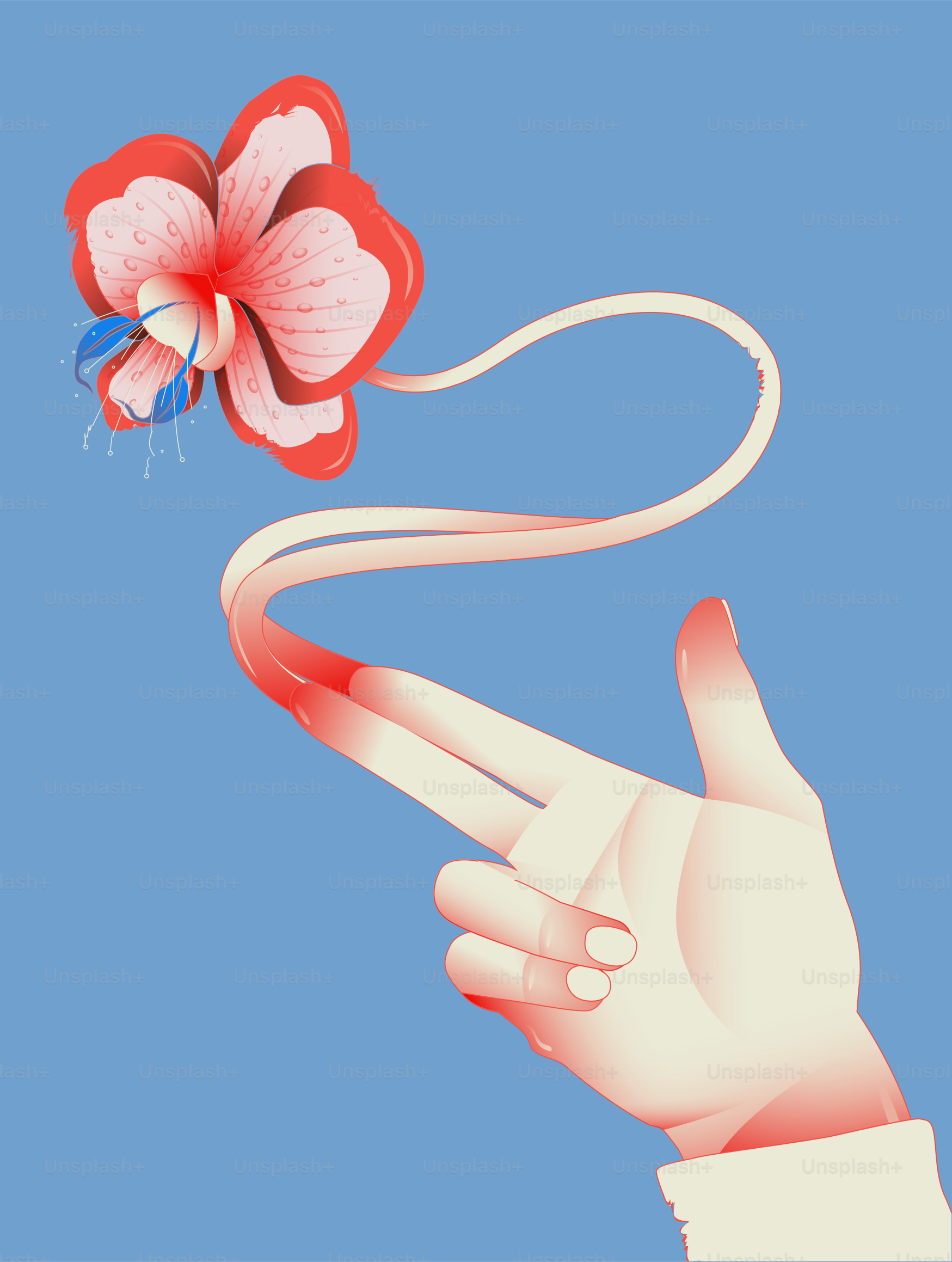 Una mano que sostiene una flor roja y blanca