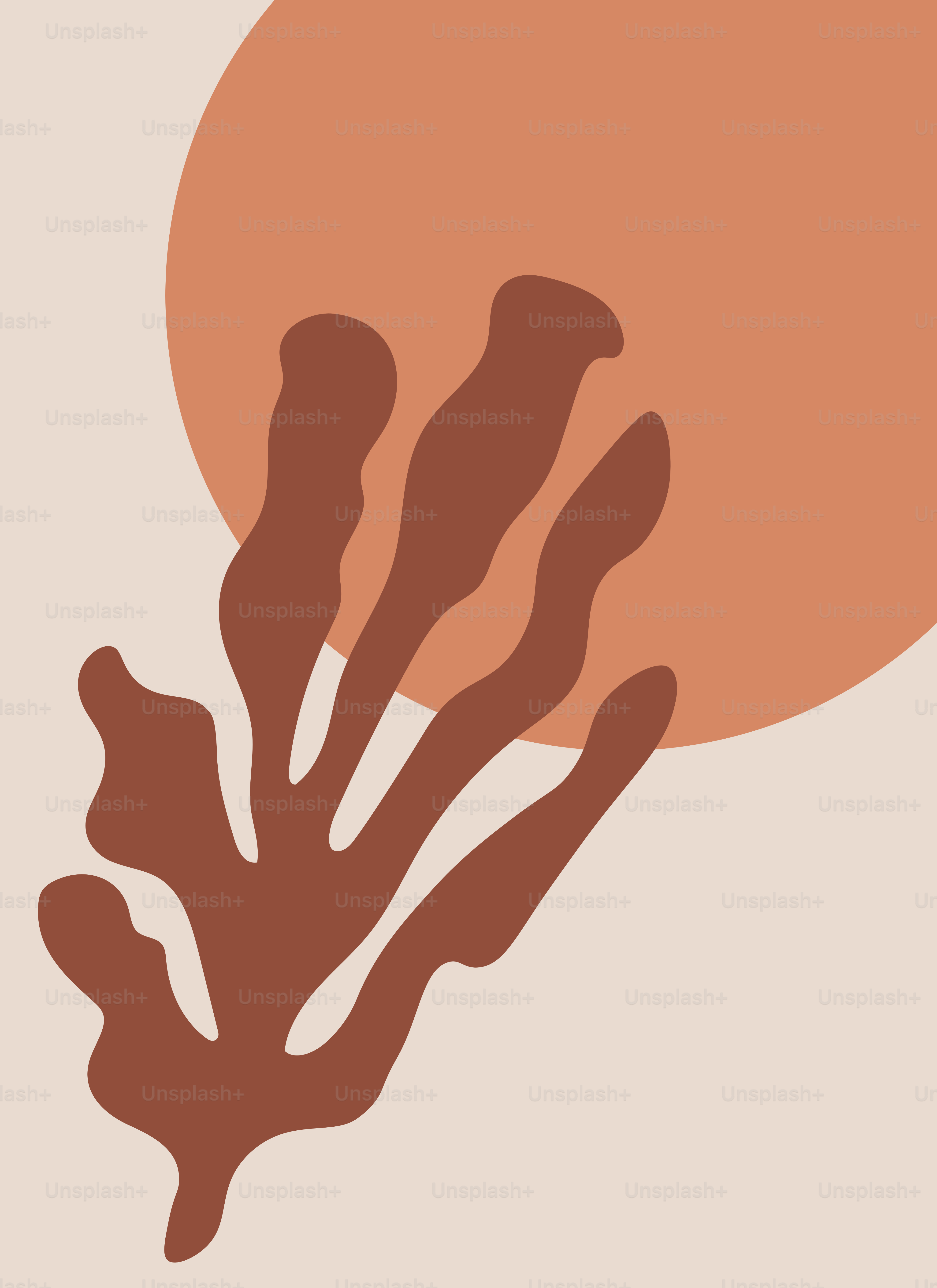 A picture of a plant with the sun in the background