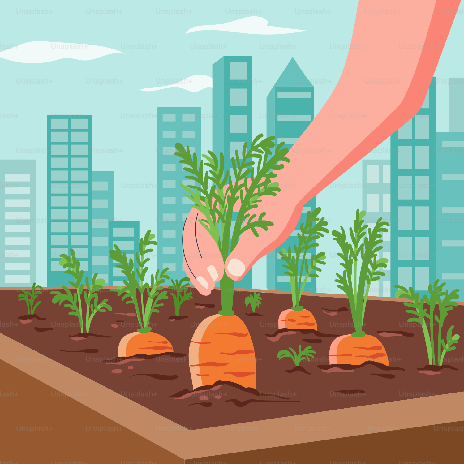 A person is planting carrots in a garden