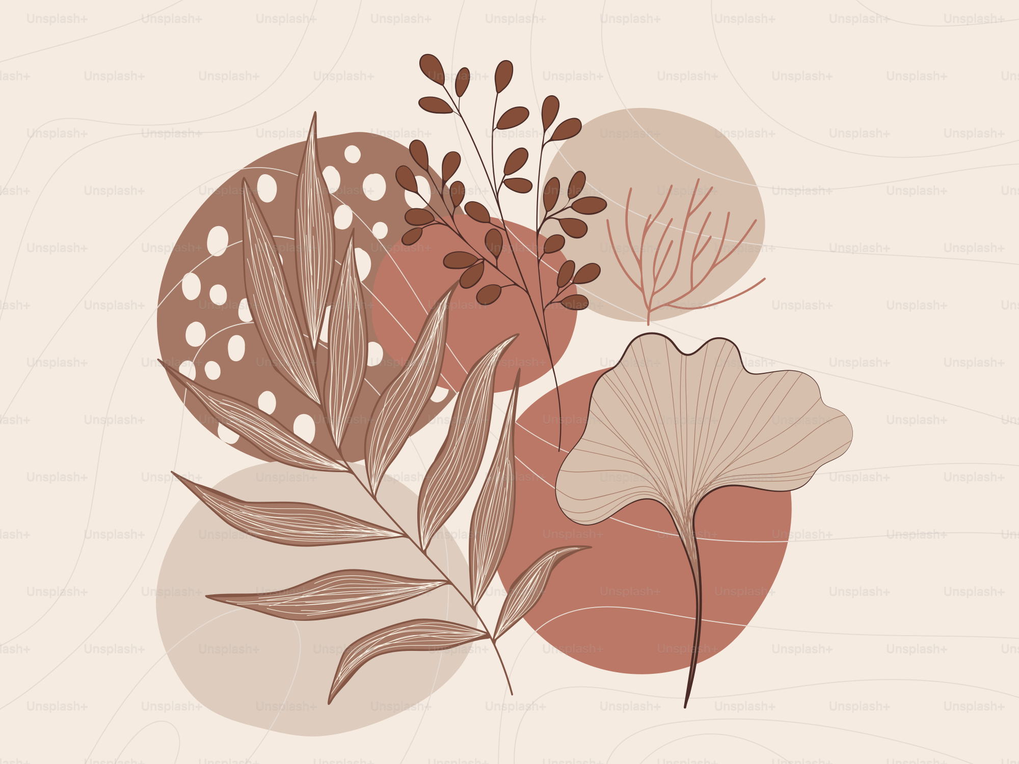 A picture of some flowers on a white background