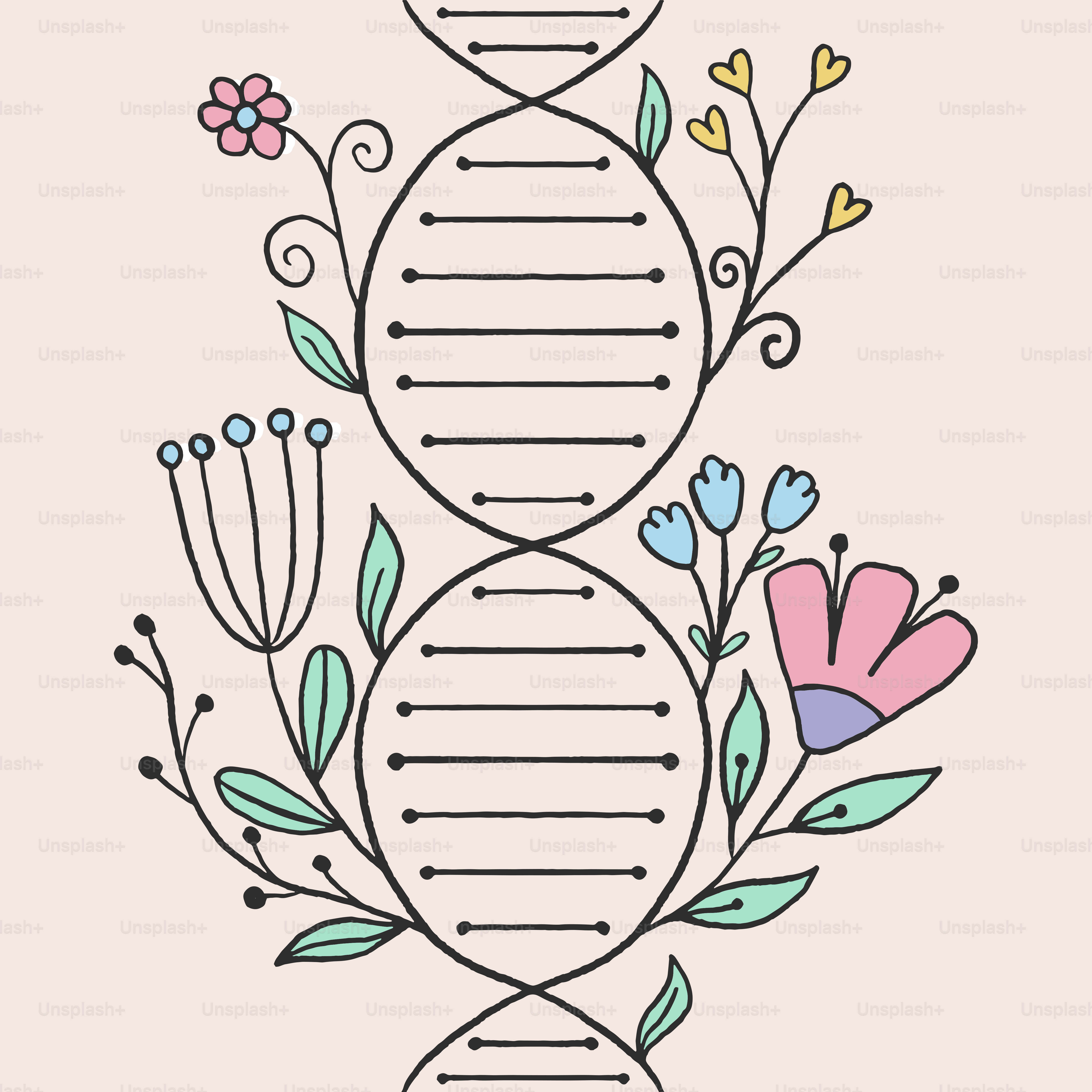 Eine Zeichnung einer Pflanze mit Blüten darauf