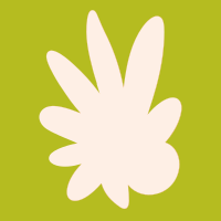 A white flower on a green background