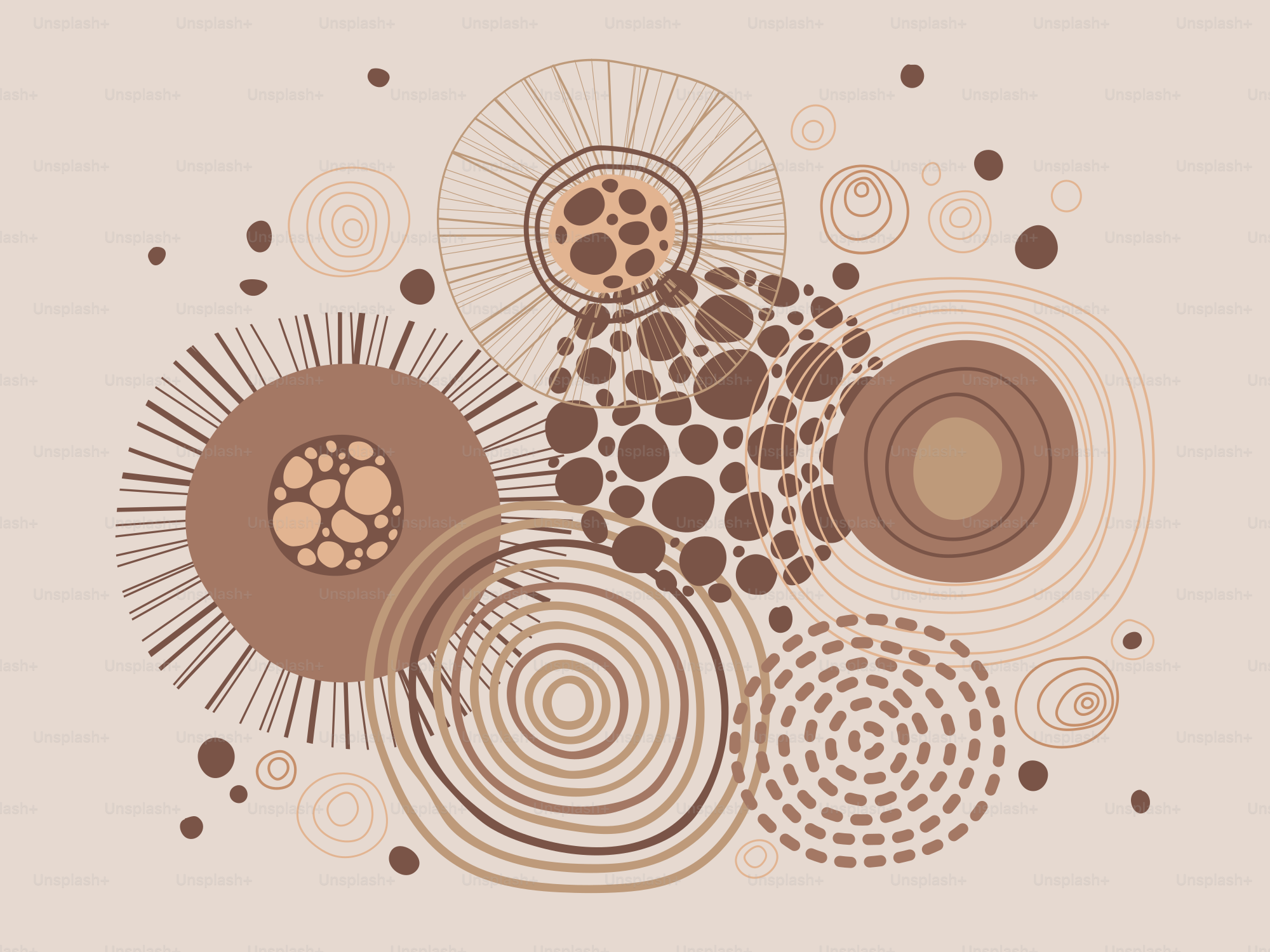 Une photo de plusieurs cercles sur fond beige