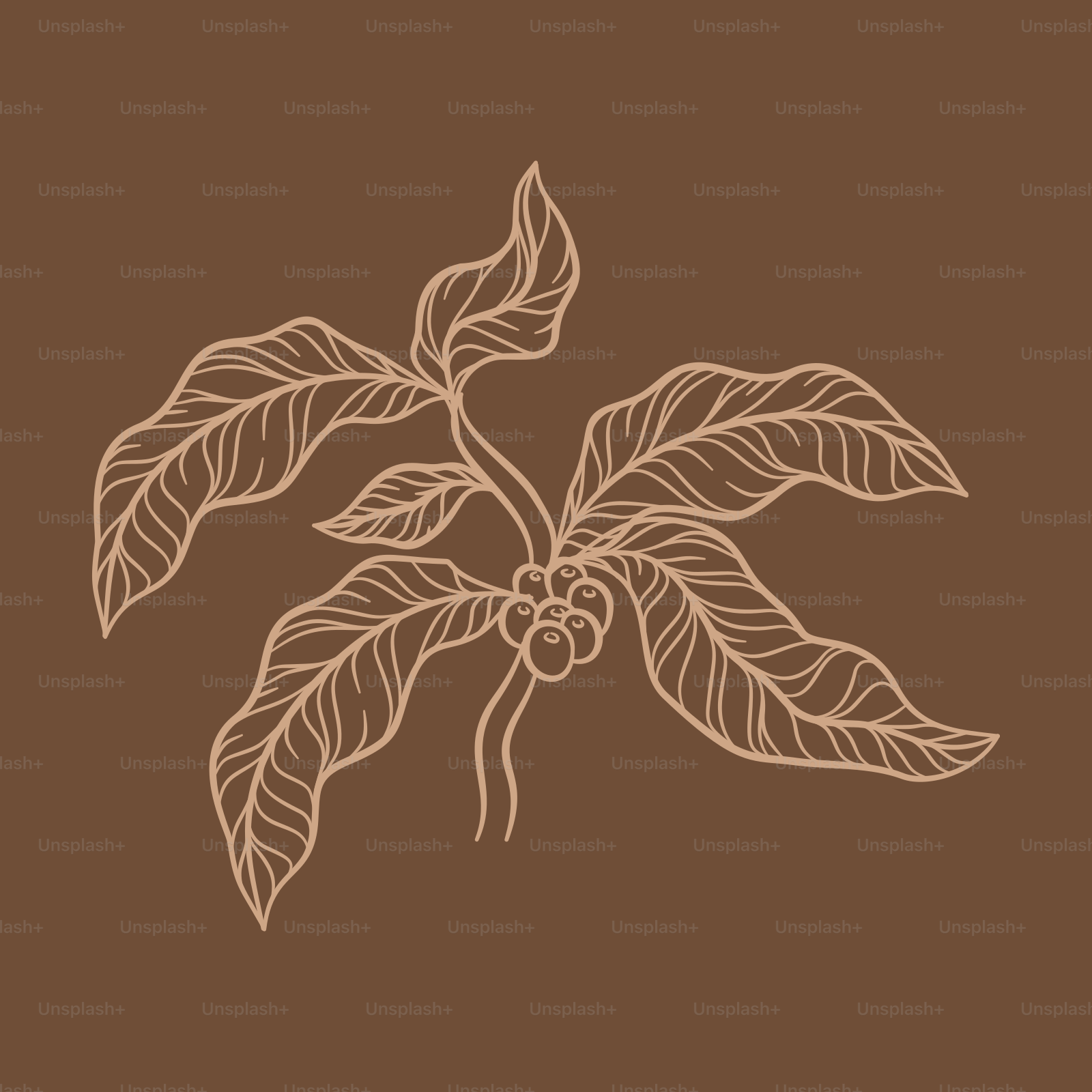 A drawing of a branch with leaves on a brown background