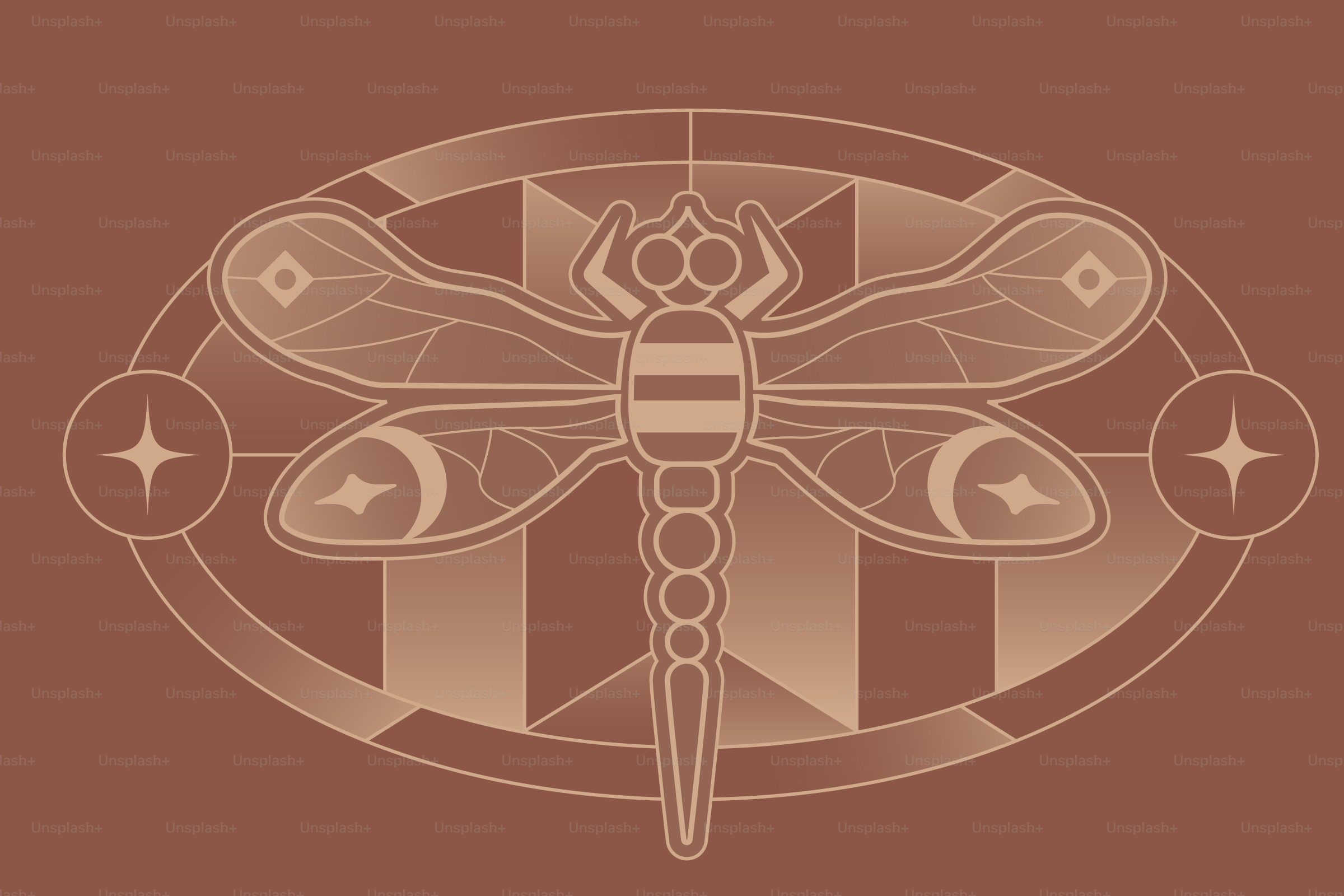 갈색 배경에 잠자리 그림이 있었다 벡터 – Unsplash의 무늬 이미지, image size:3000x2000