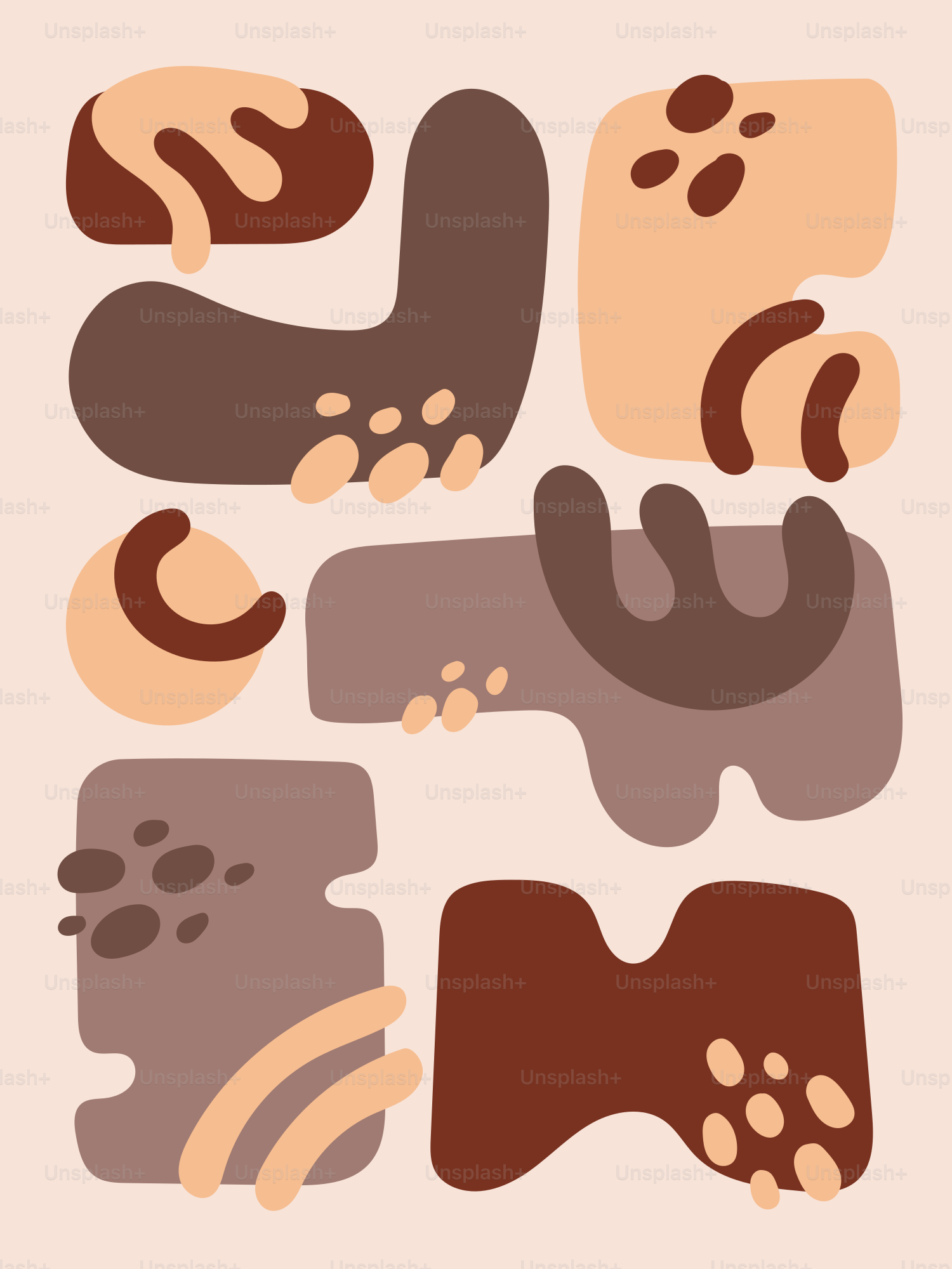 Un conjunto de diferentes formas y tamaños de zapatos