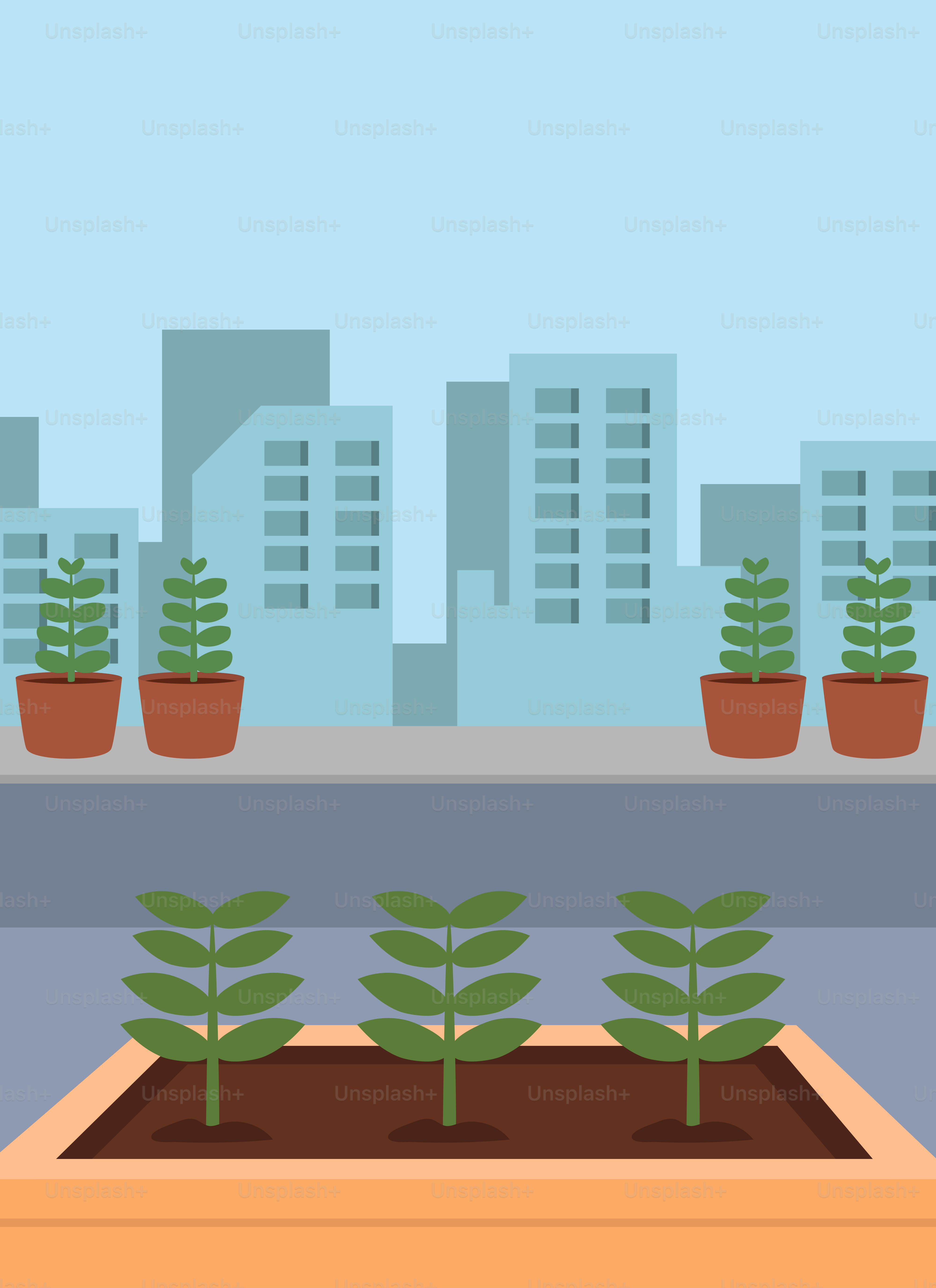 A man is standing in front of a window with plants