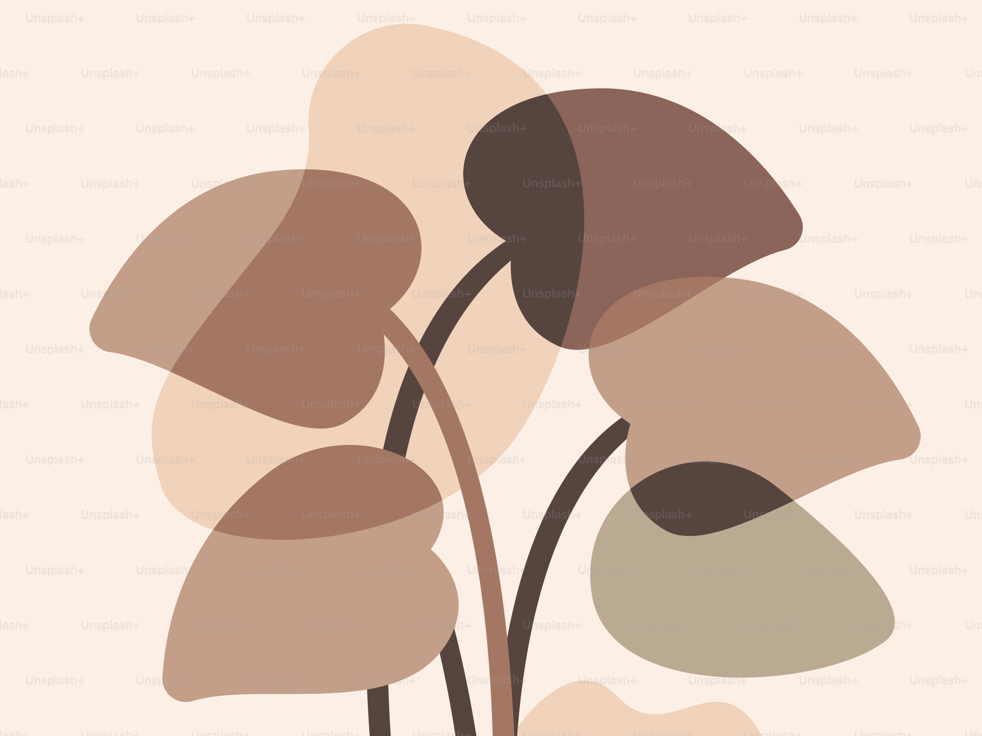 Una foto de una planta con hojas marrones