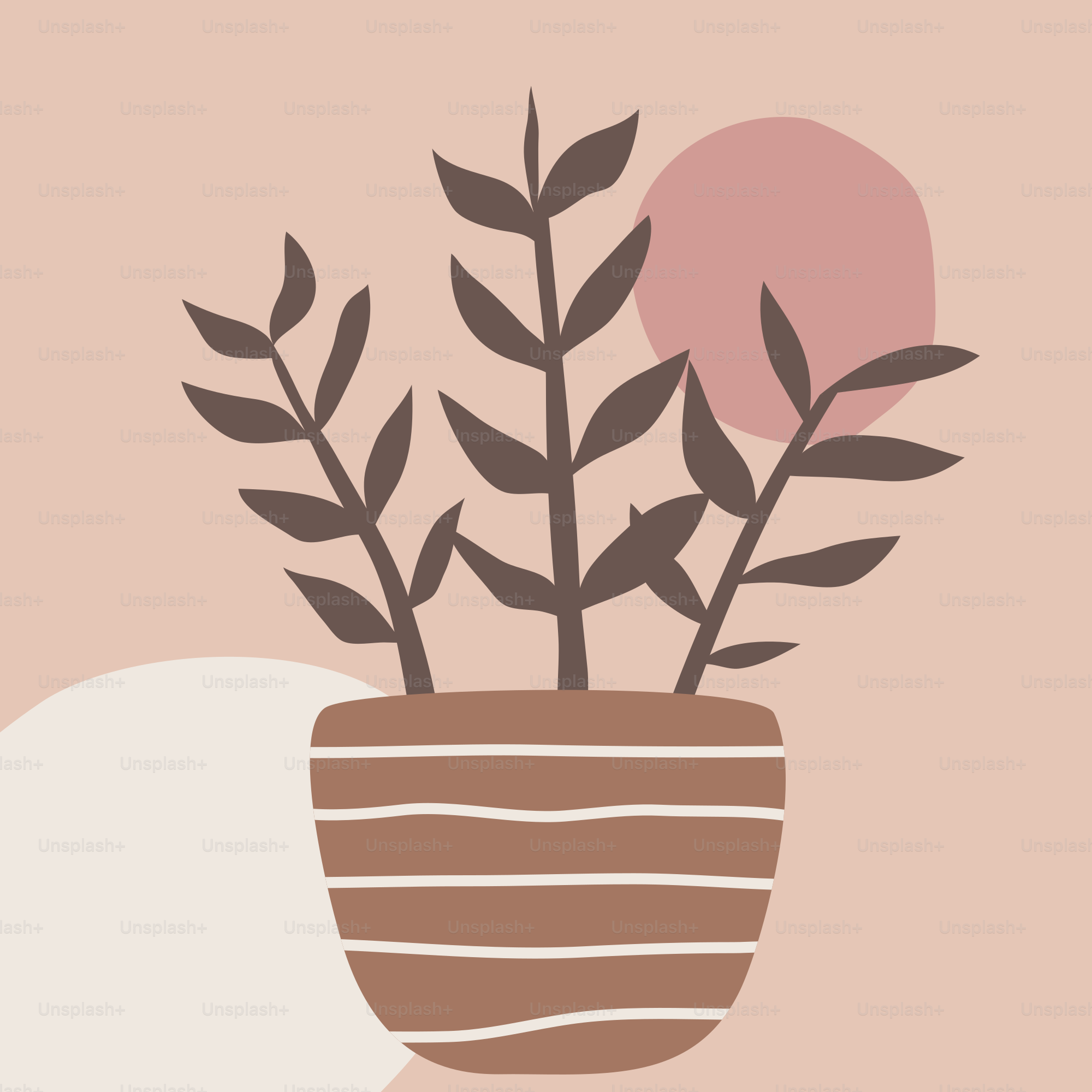 Una planta en maceta con hojas sobre fondo rosa