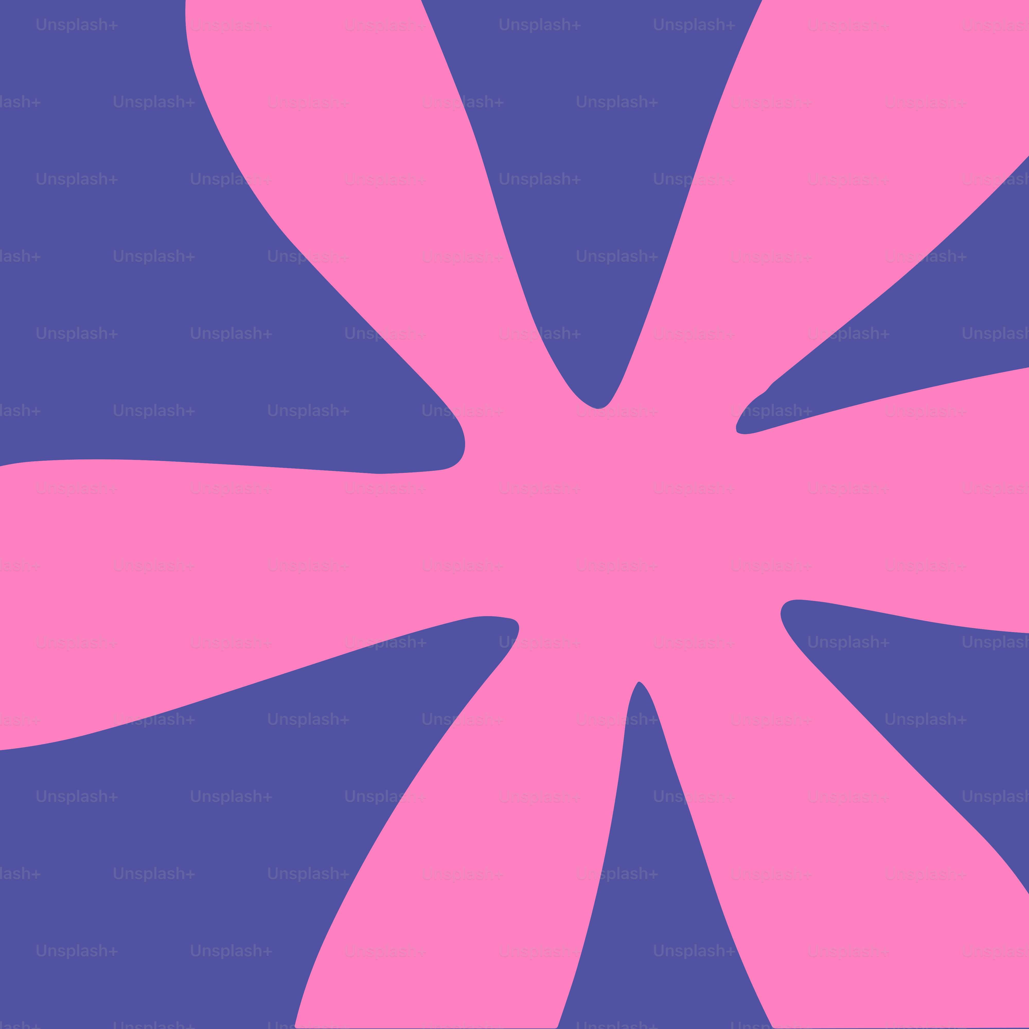 A pink flower on a purple background