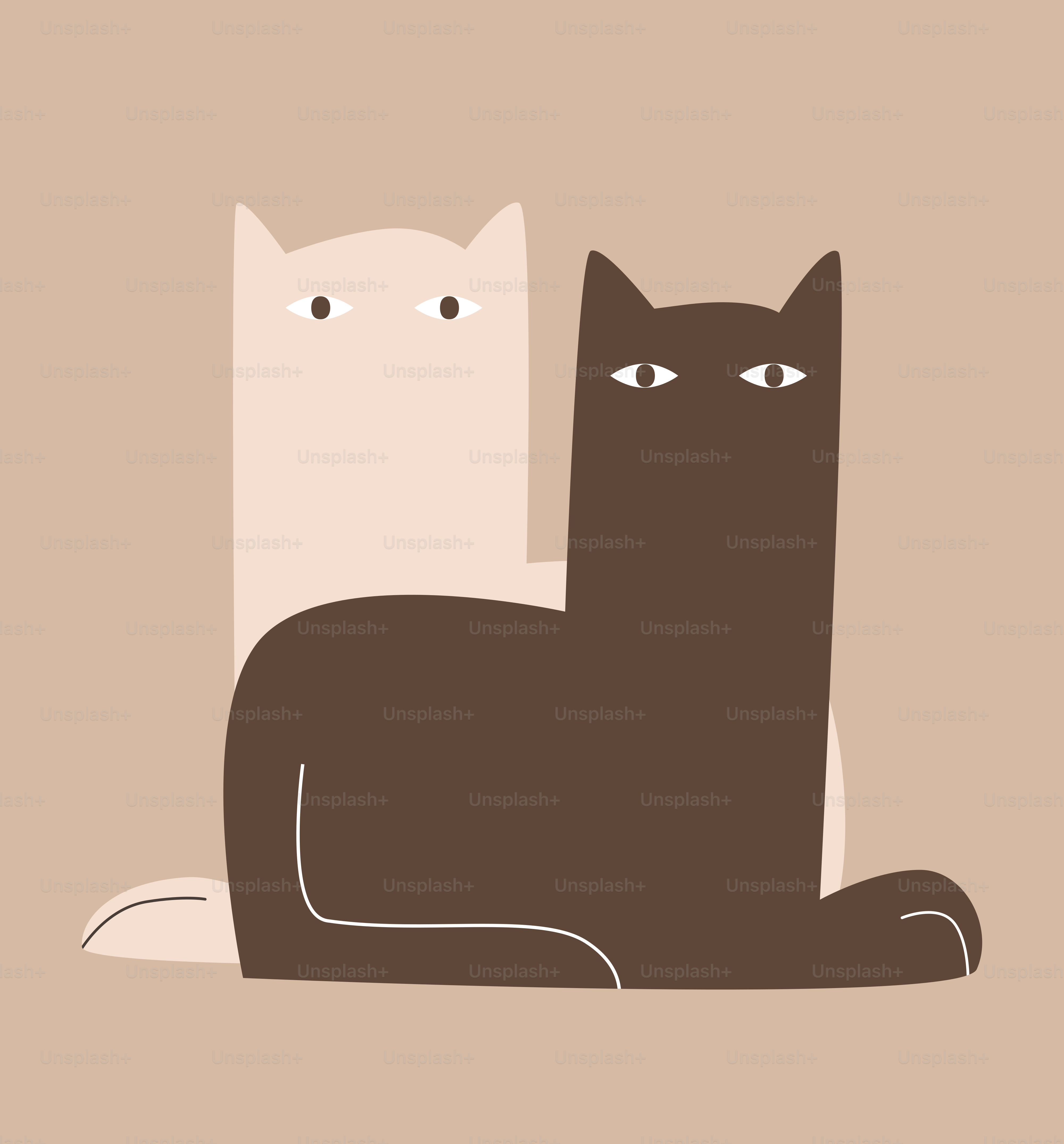 Beberapa kucing duduk bersebelahan