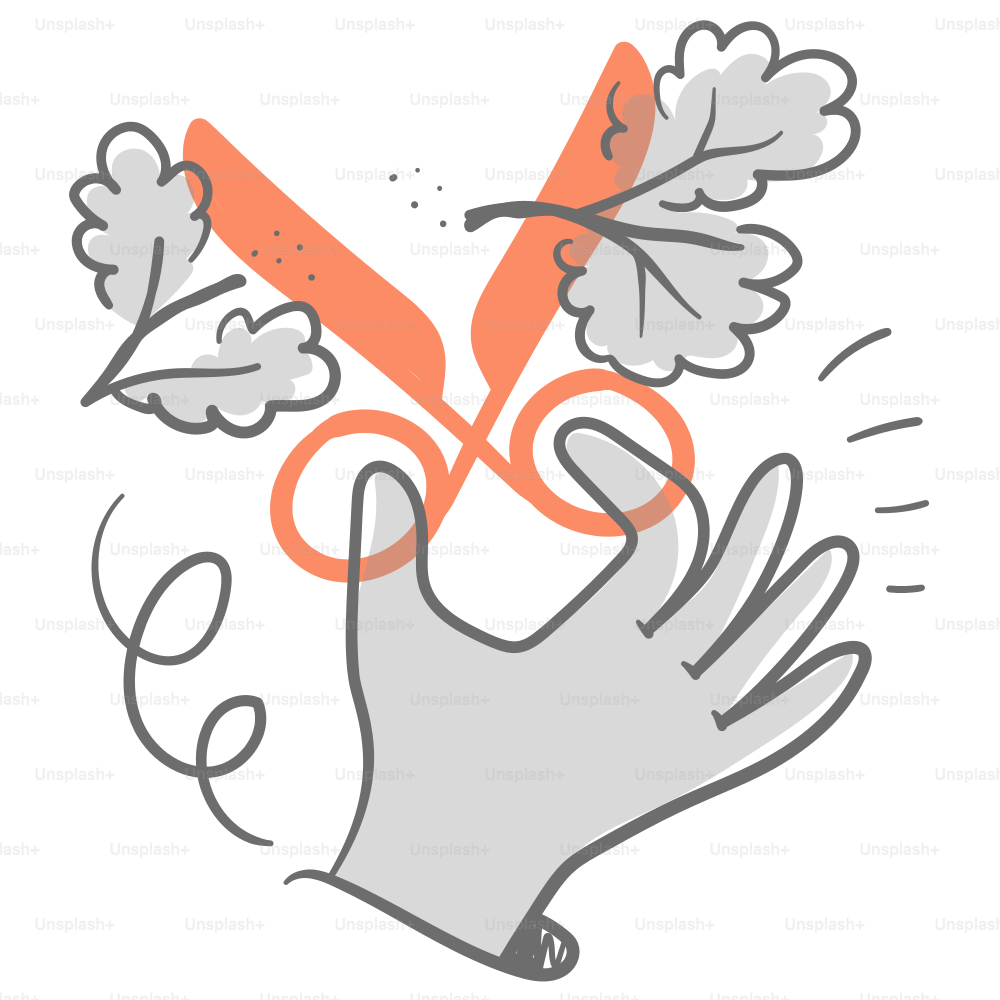 A hand holding a pair of scissors and a leaf