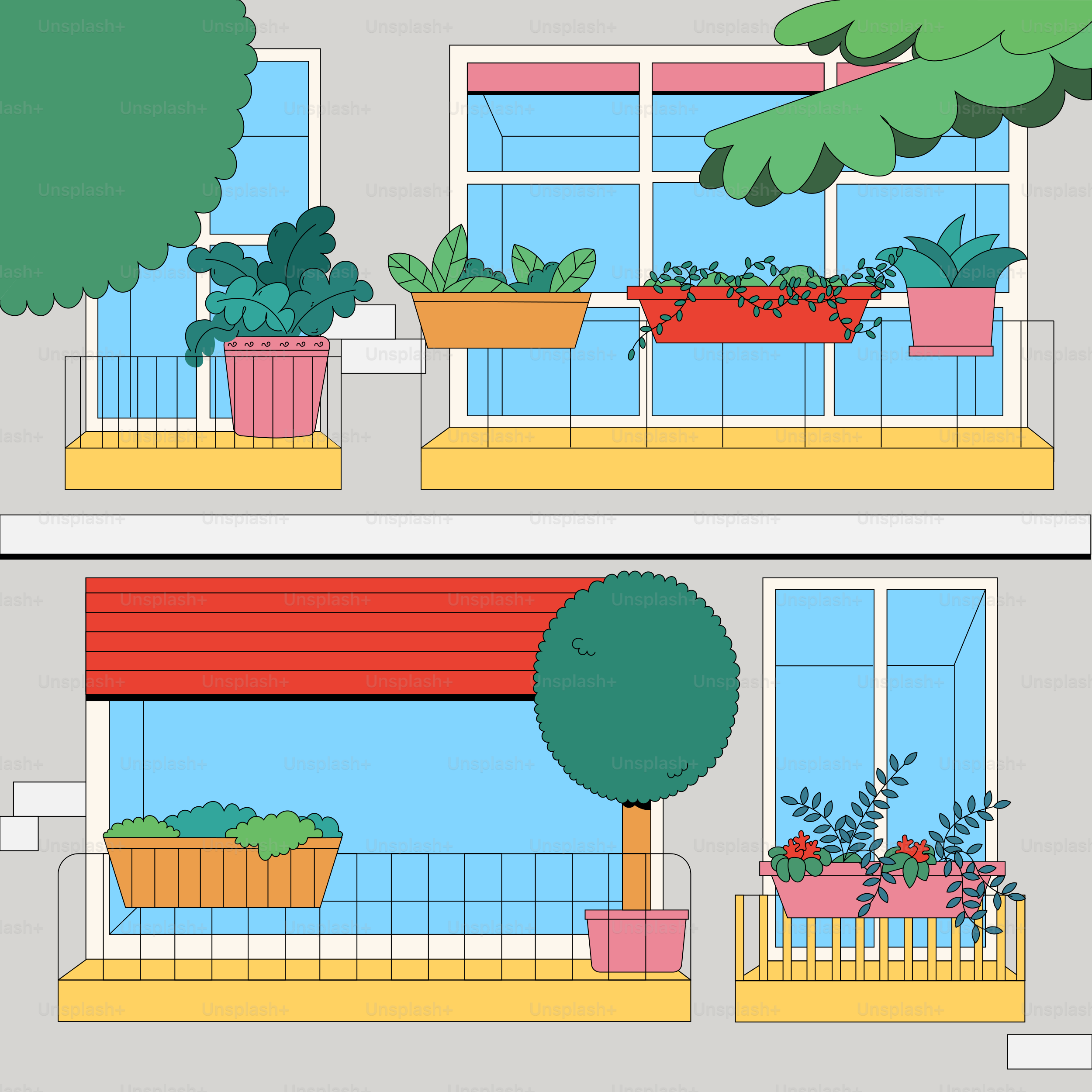 A set of three windows with plants in them