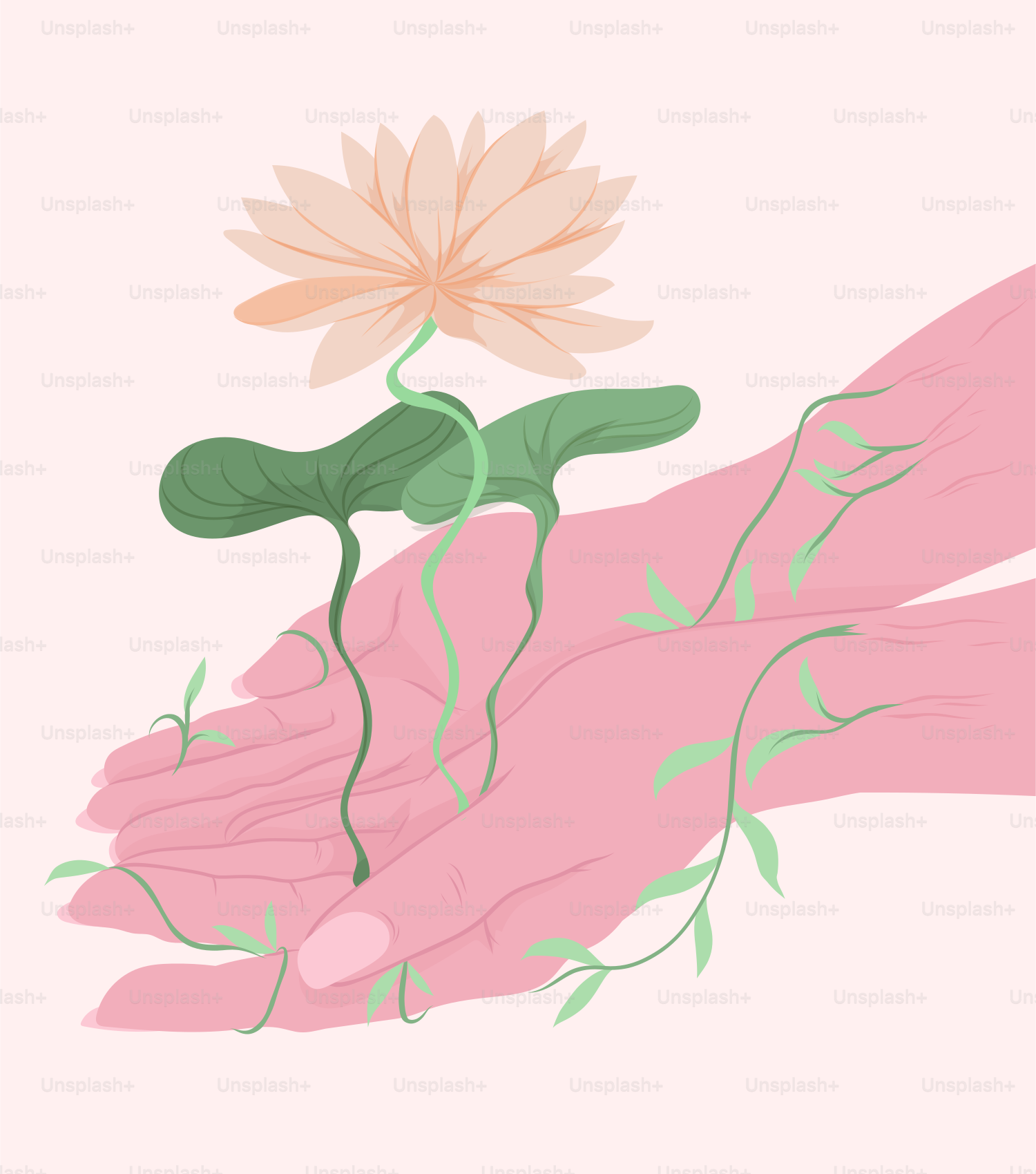 잠자리가 초록 잎 위에 쉬고 있습니다. 벡터 – Unsplash의 동물 이미지, image size:3000x3398