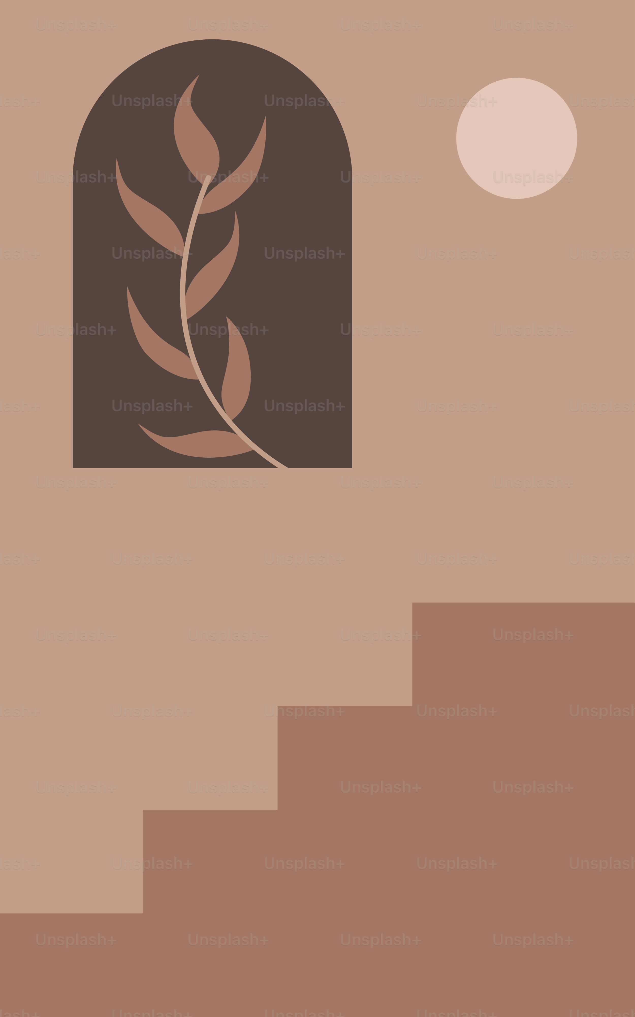 Un escalier avec une fenêtre et une plante dessus