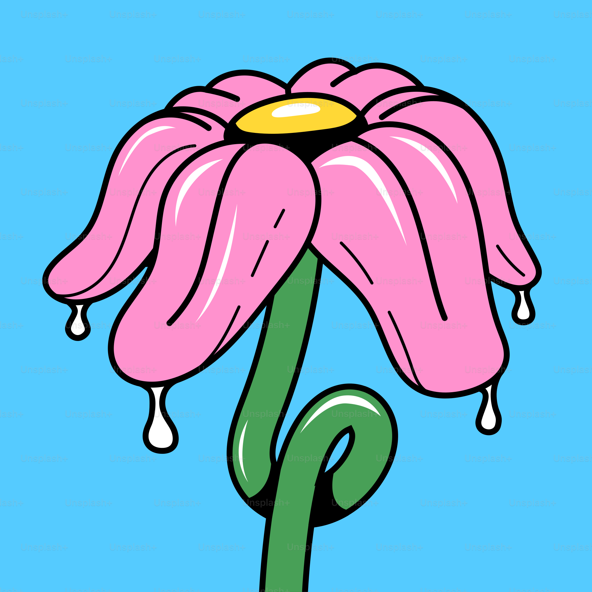 A pink flower with a green stem on a blue background