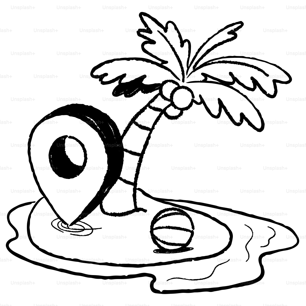 A black and white drawing of a palm tree vector – Travel Image on Unsplash, image size:3000x3000