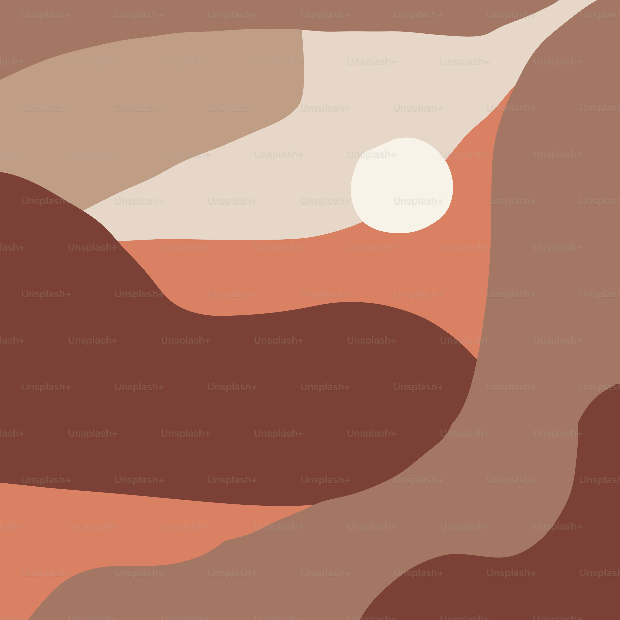 A picture of a brown and white landscape