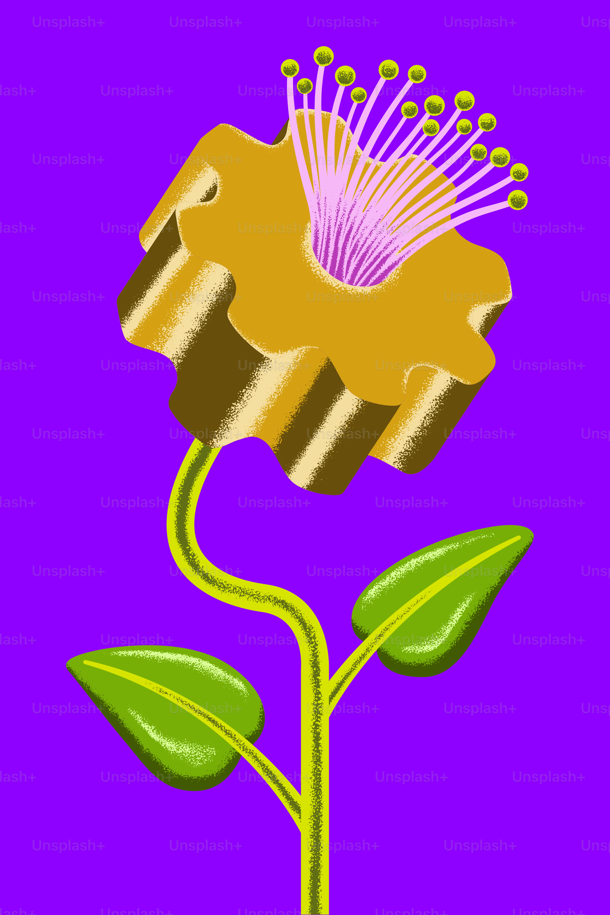 A picture of a flower on a purple background