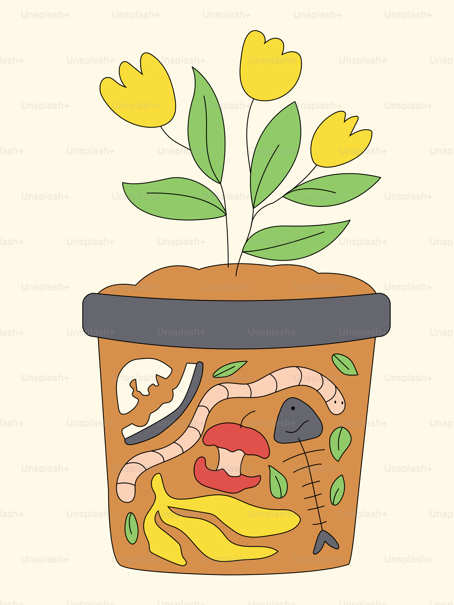 黄色い花の鉢植え